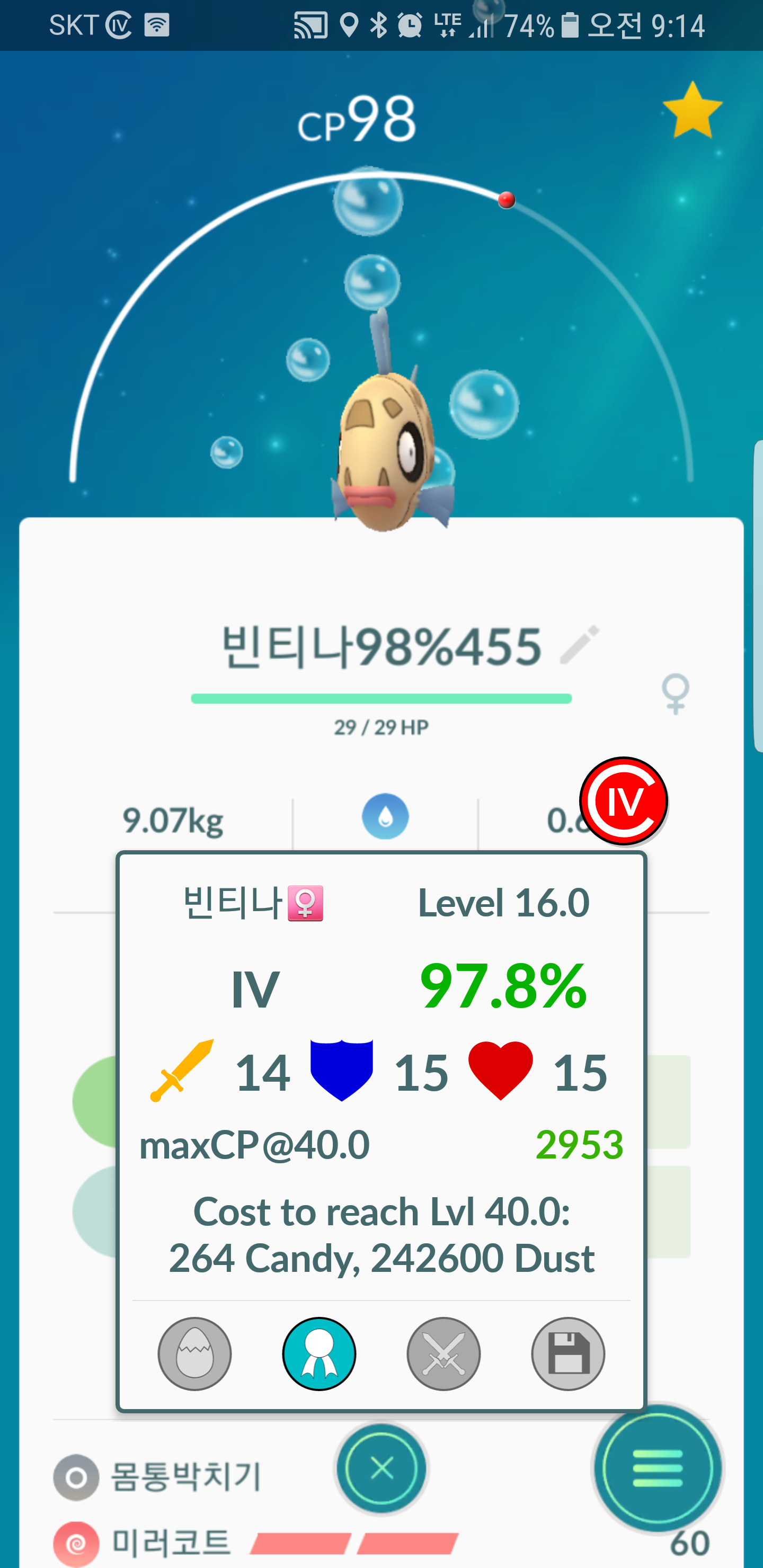 빈티나
