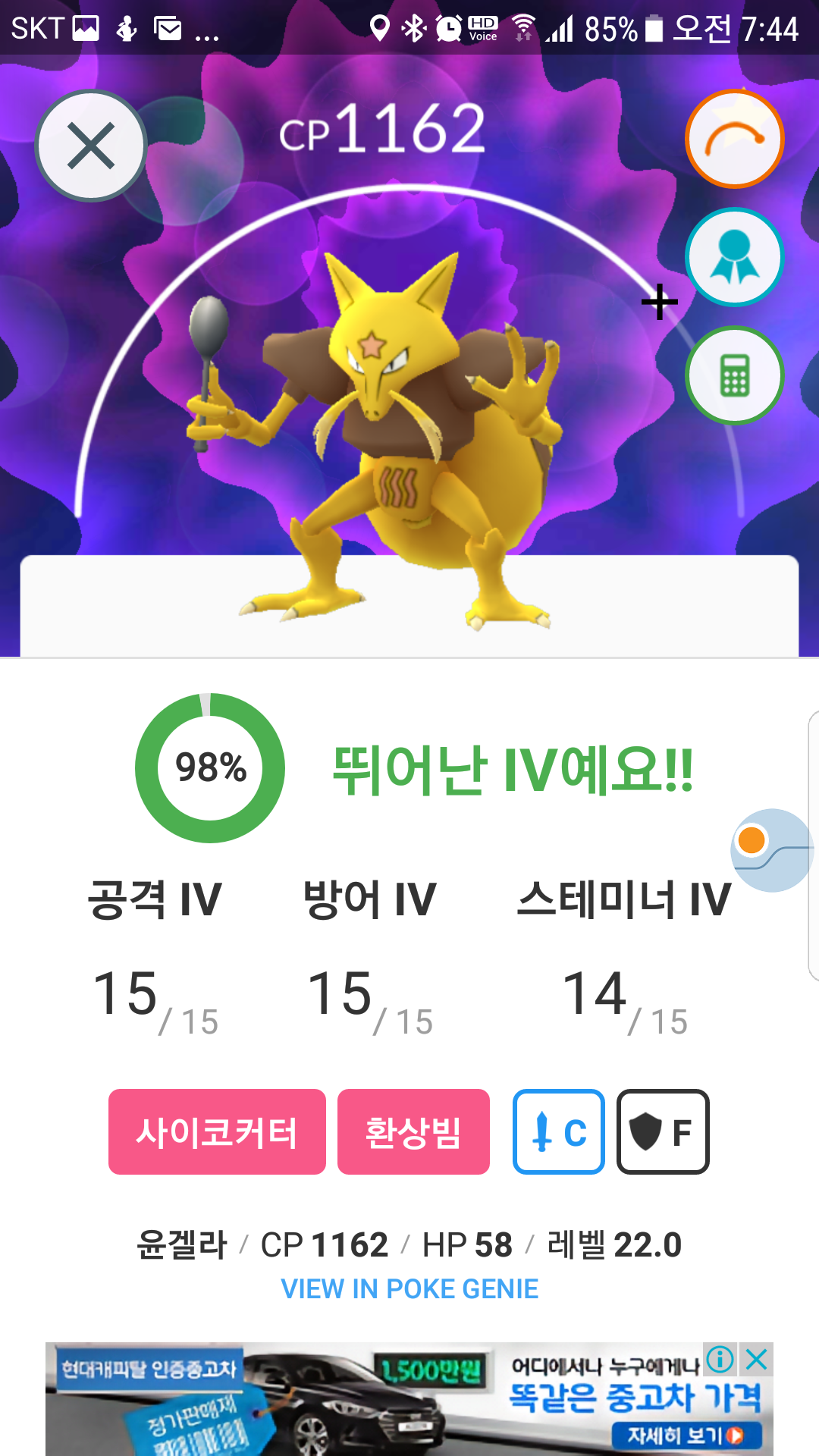 100해피,윤겔라(야생)