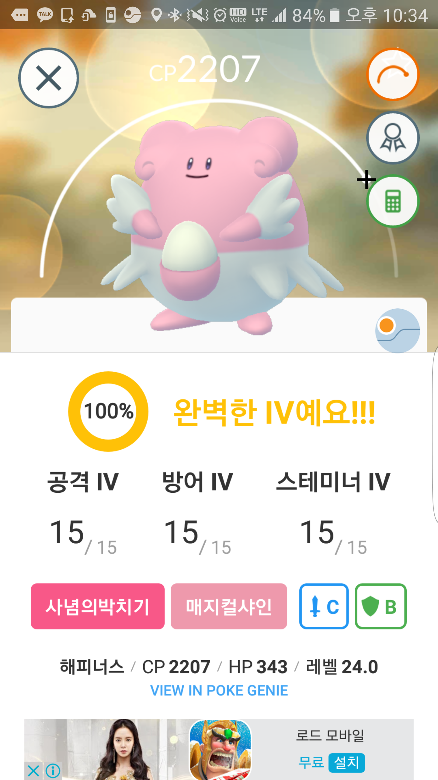 100해피,윤겔라(야생)