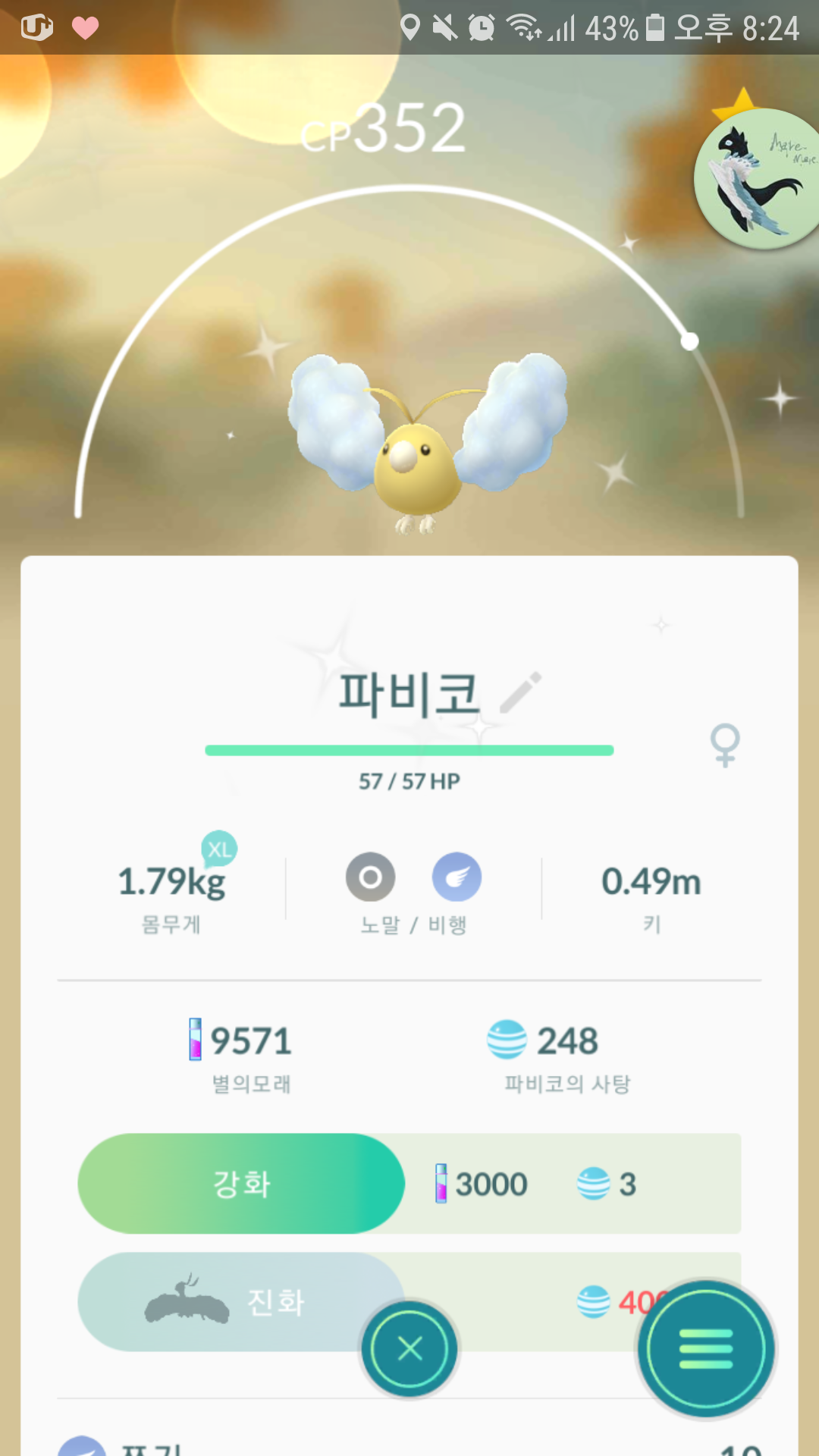 이로치 파비코