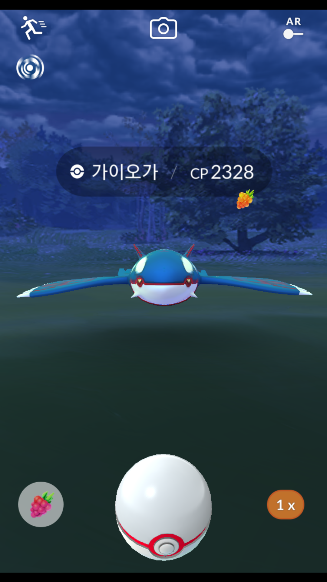 가이오가