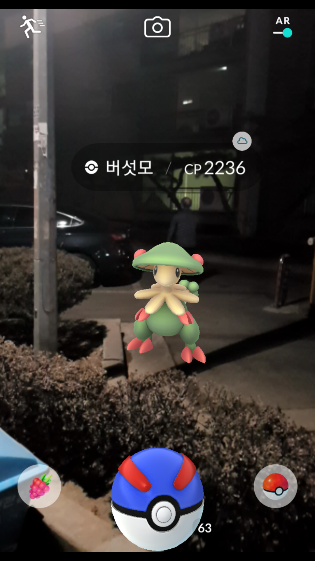 버섯모