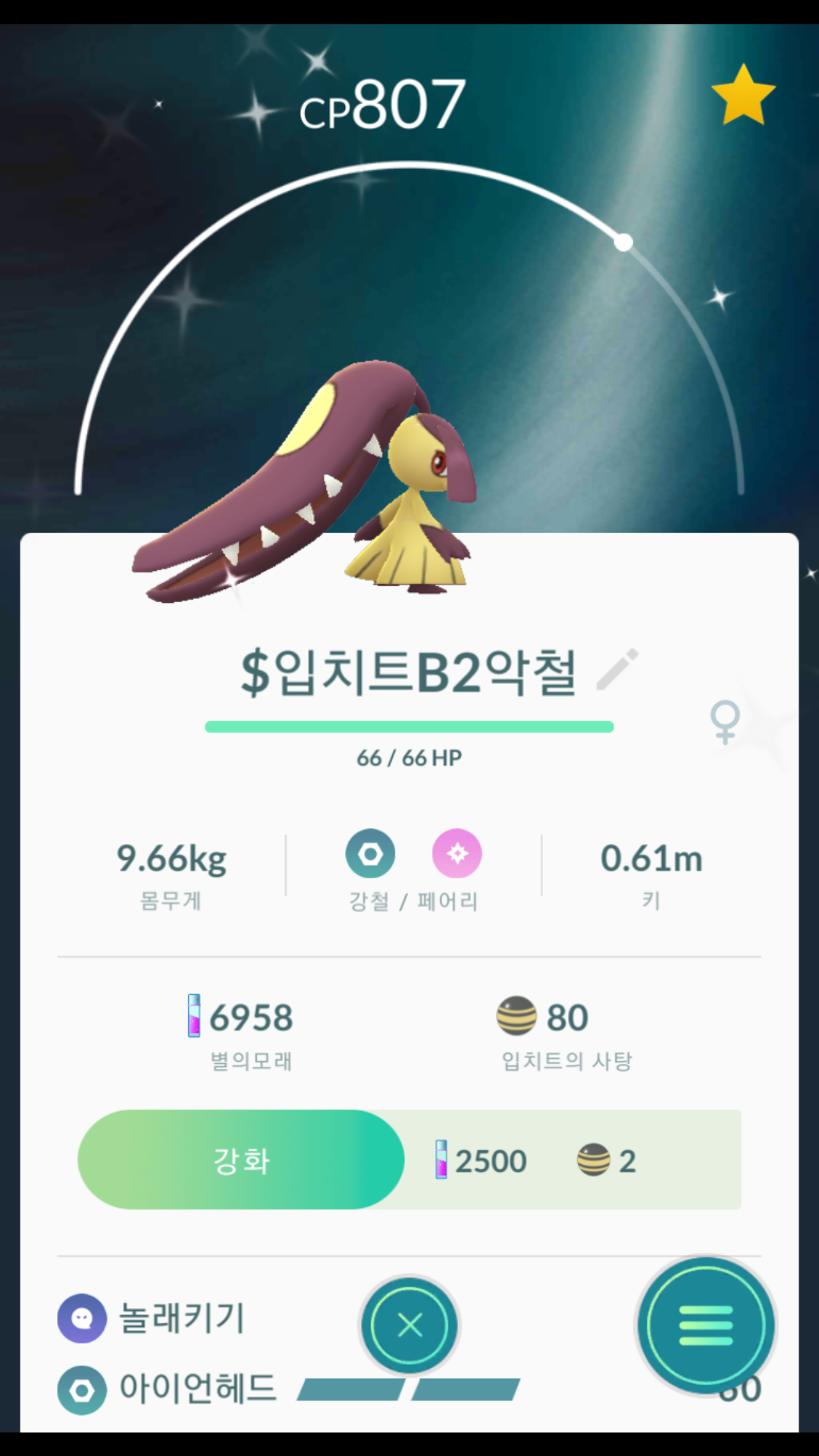 이로치 입치트