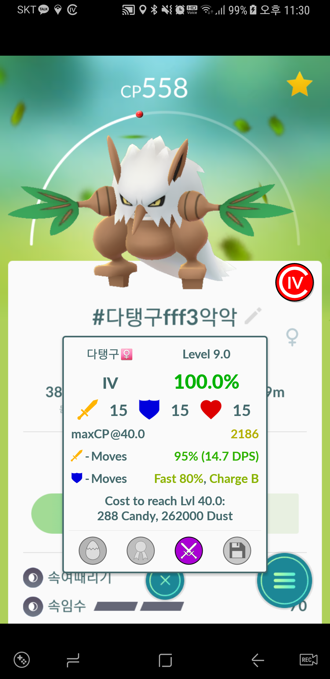 다탱구 3형제