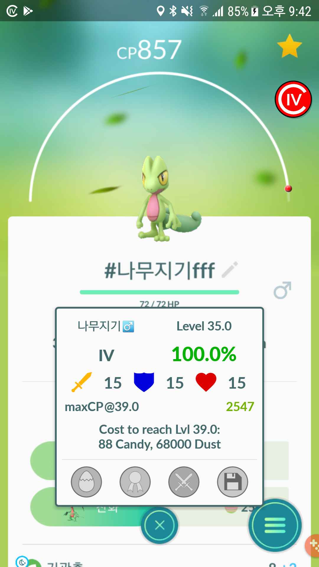 야생 만렙 나무지기