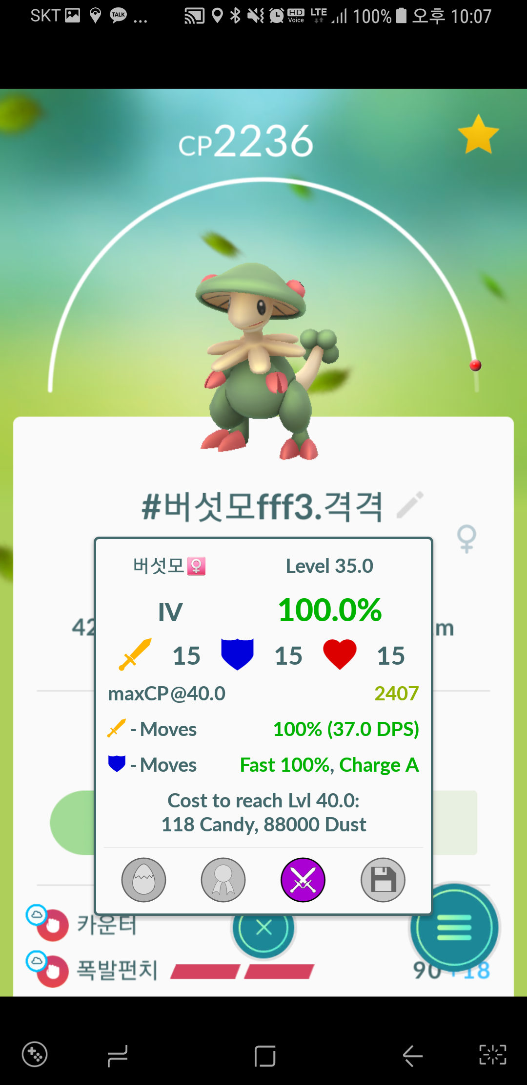 버섯모