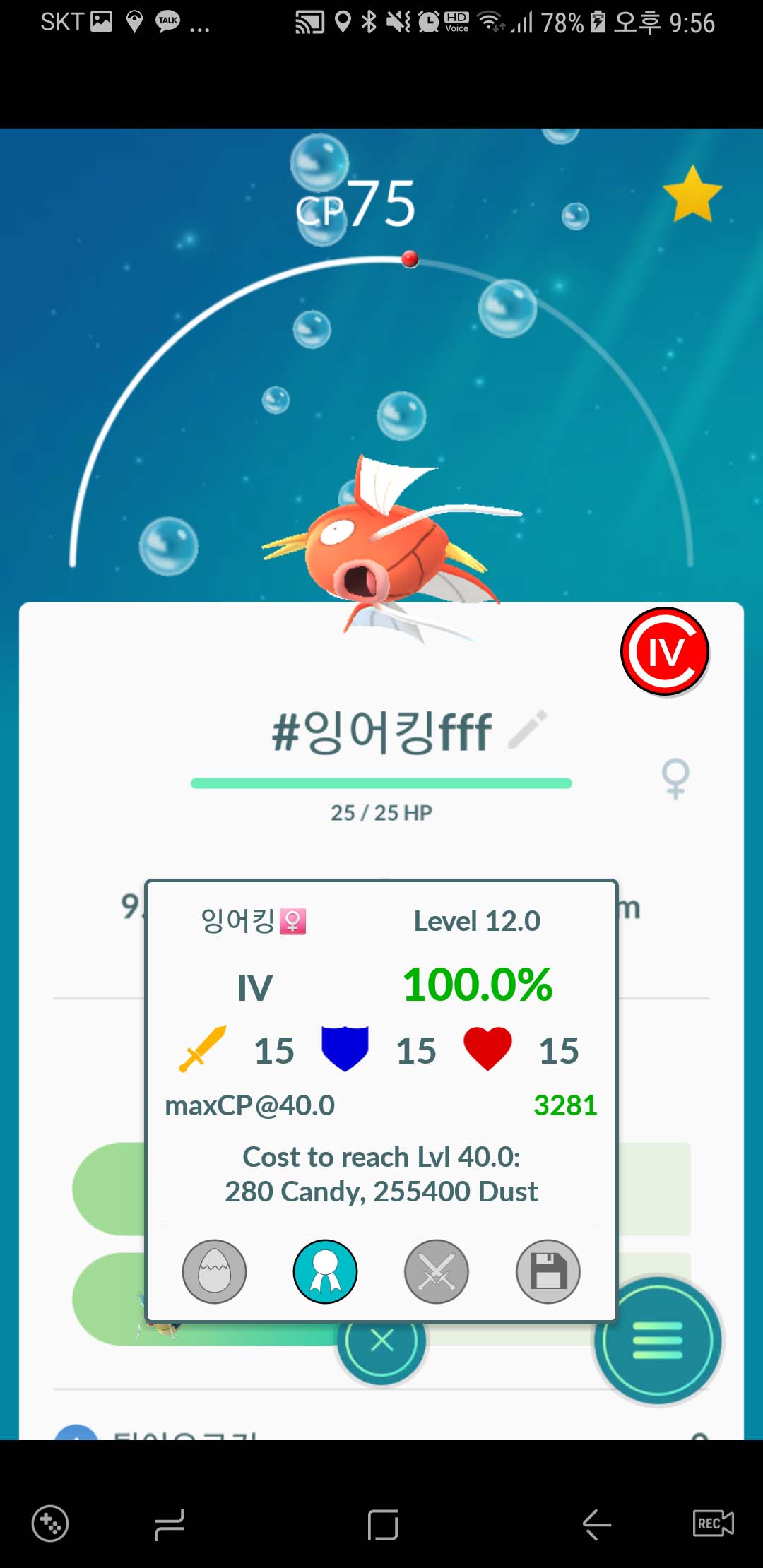 잉어킹