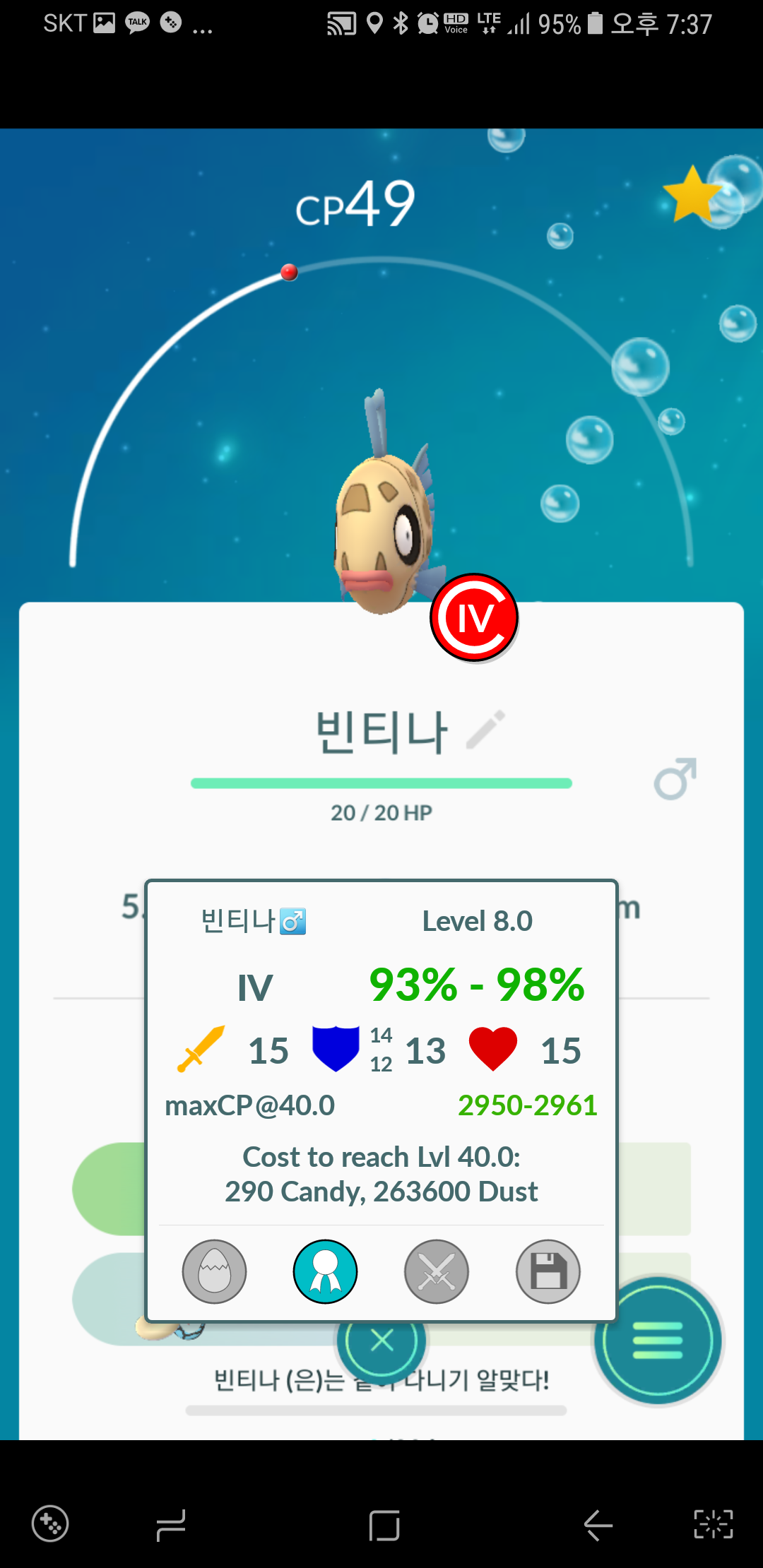 야생 빈티나