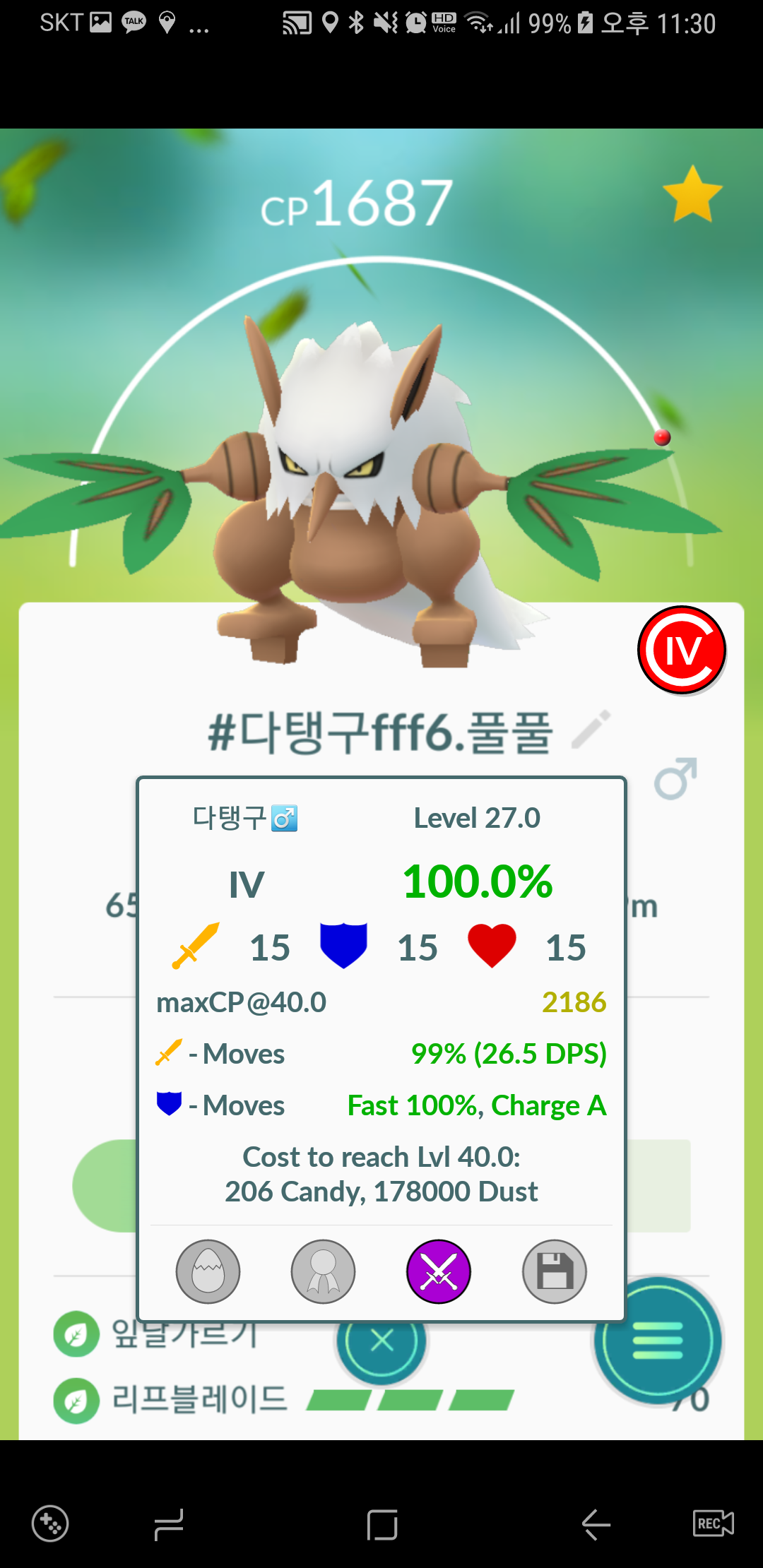 다탱구 3형제
