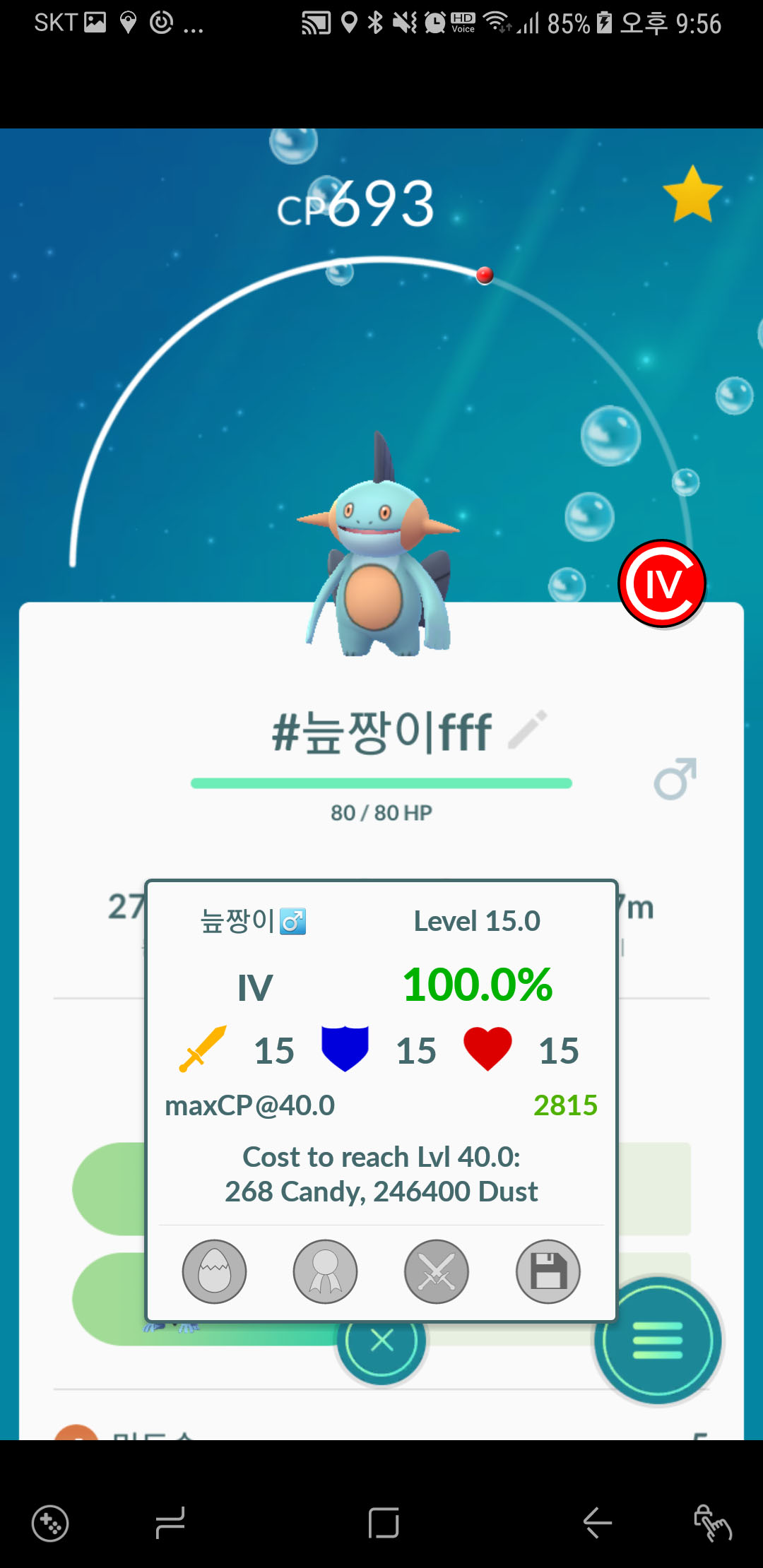 백짱이