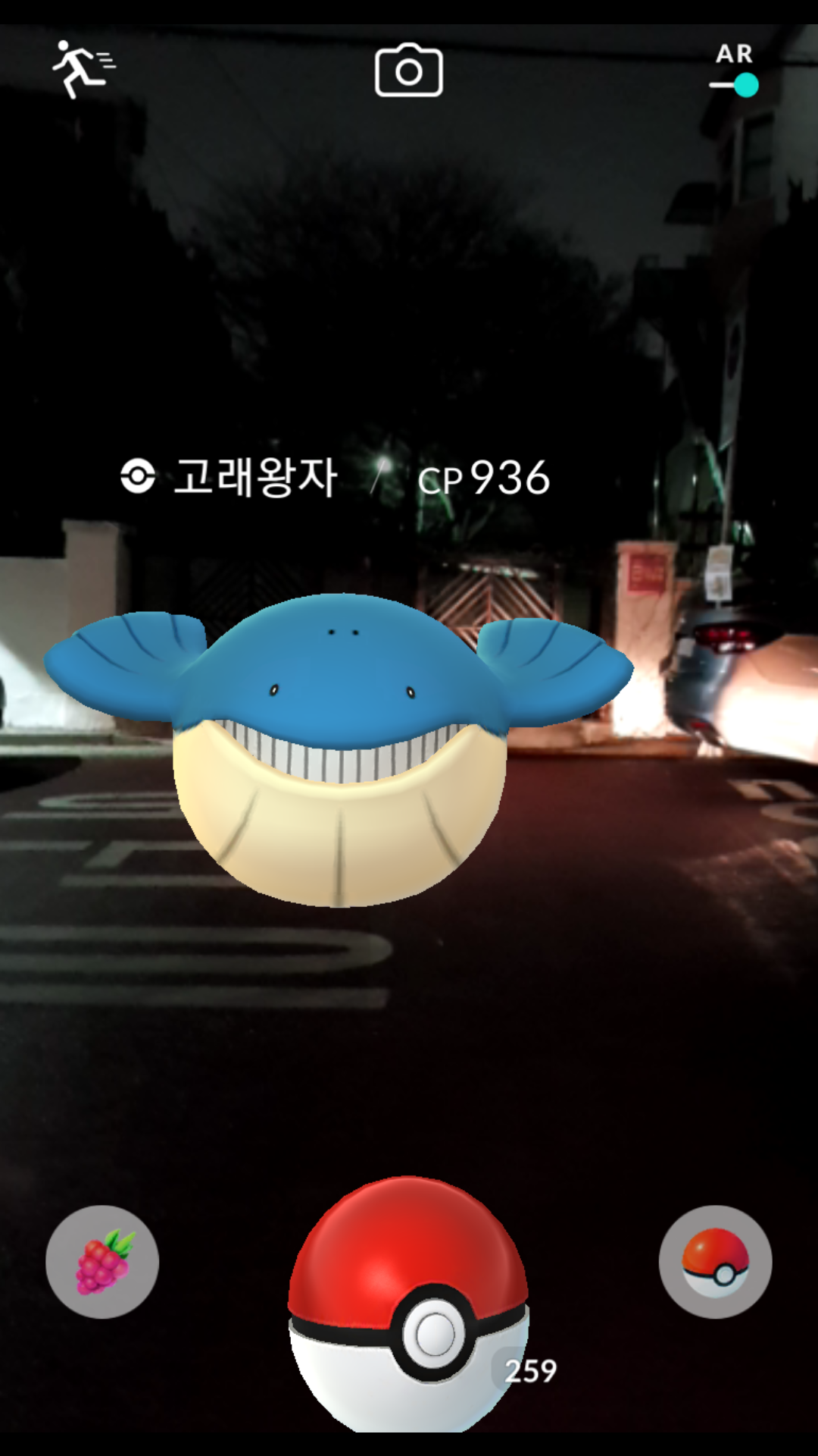 최근 백사냥