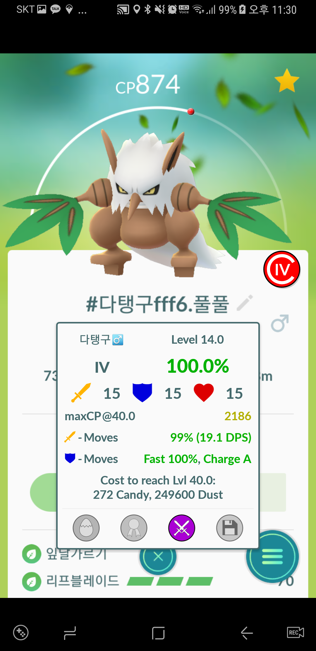 다탱구 3형제