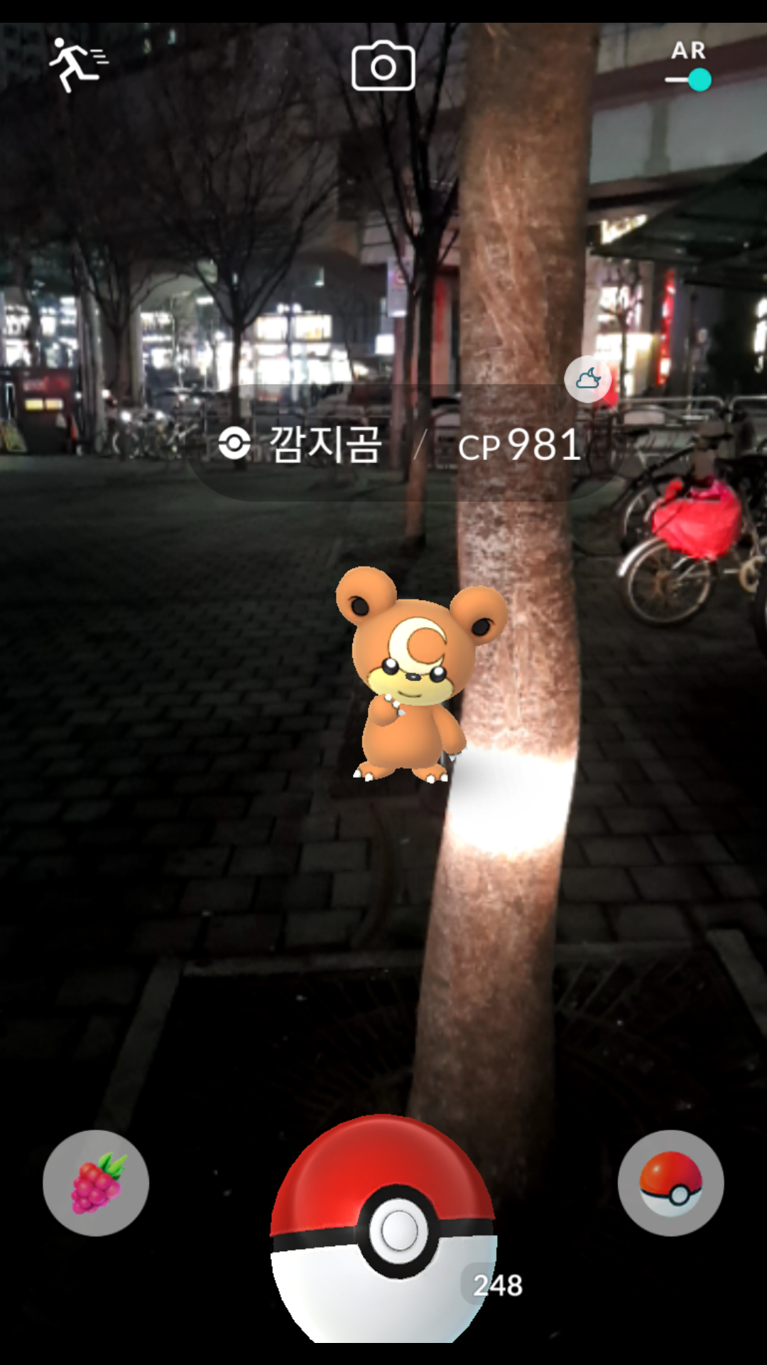 최근 백사냥