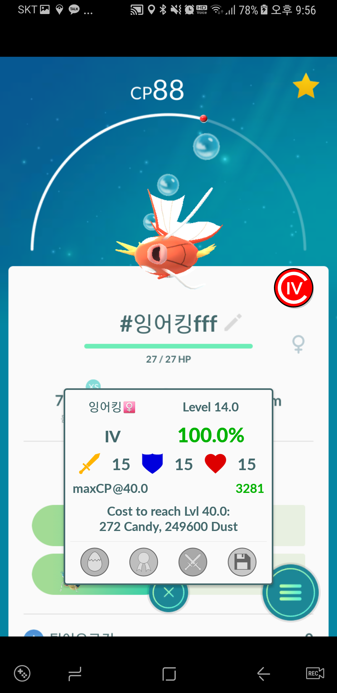잉어킹