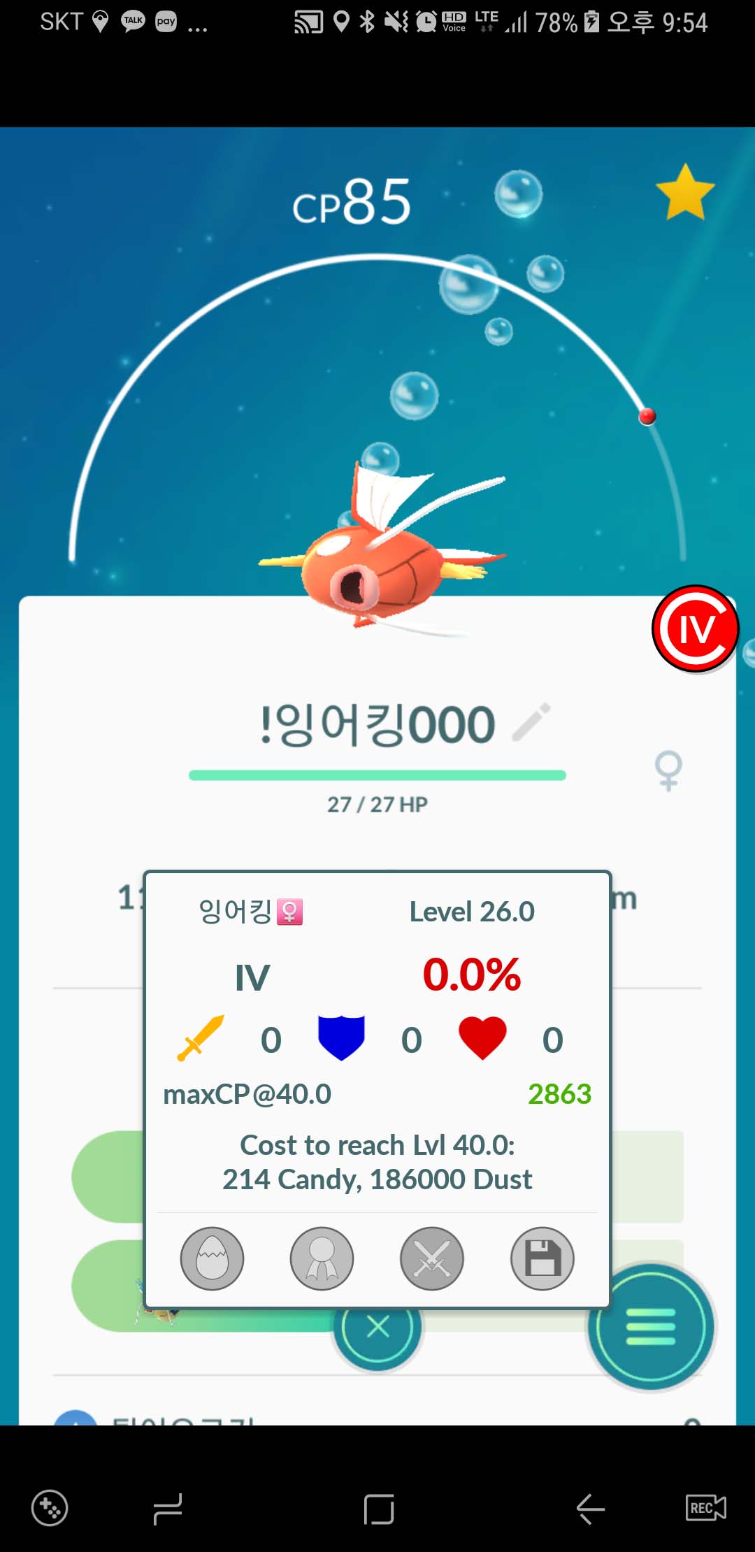 잉어킹