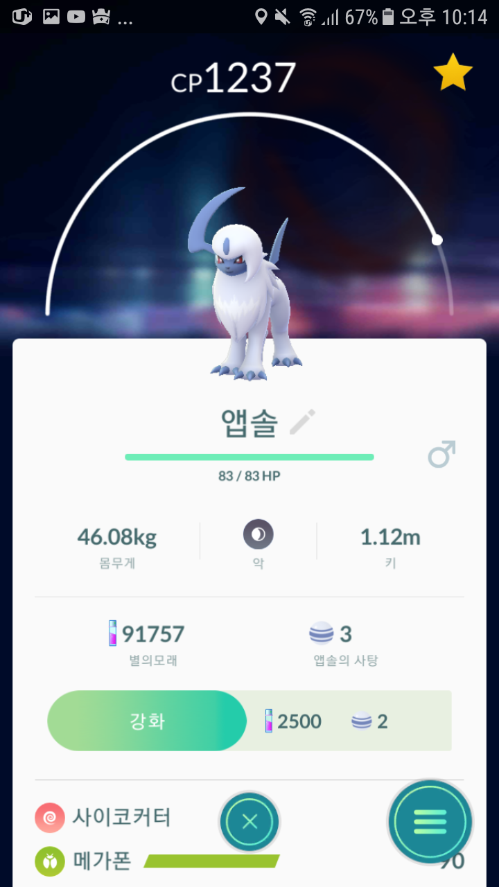 첫 앱솔