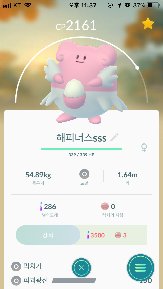 100해피너스