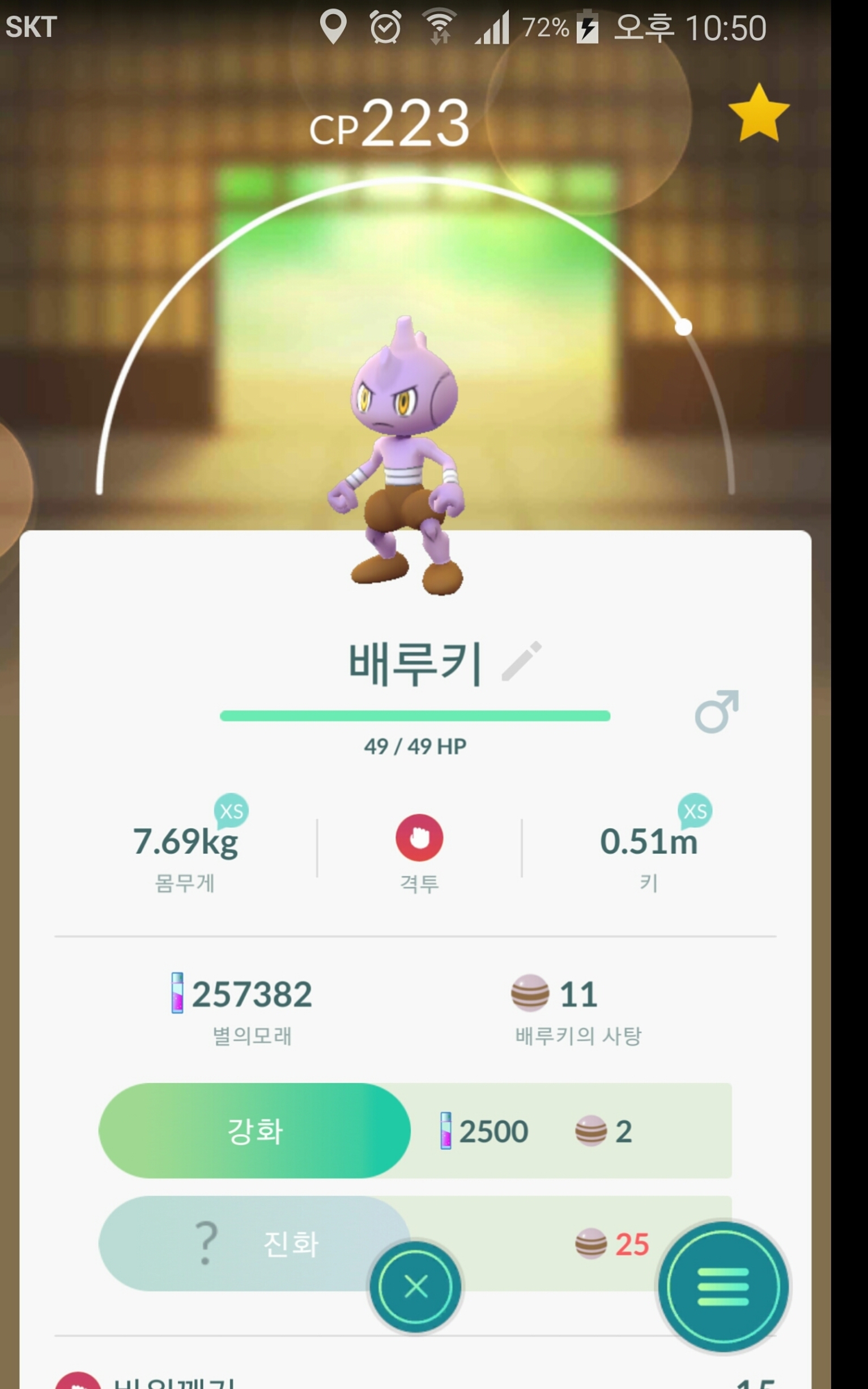 배루키