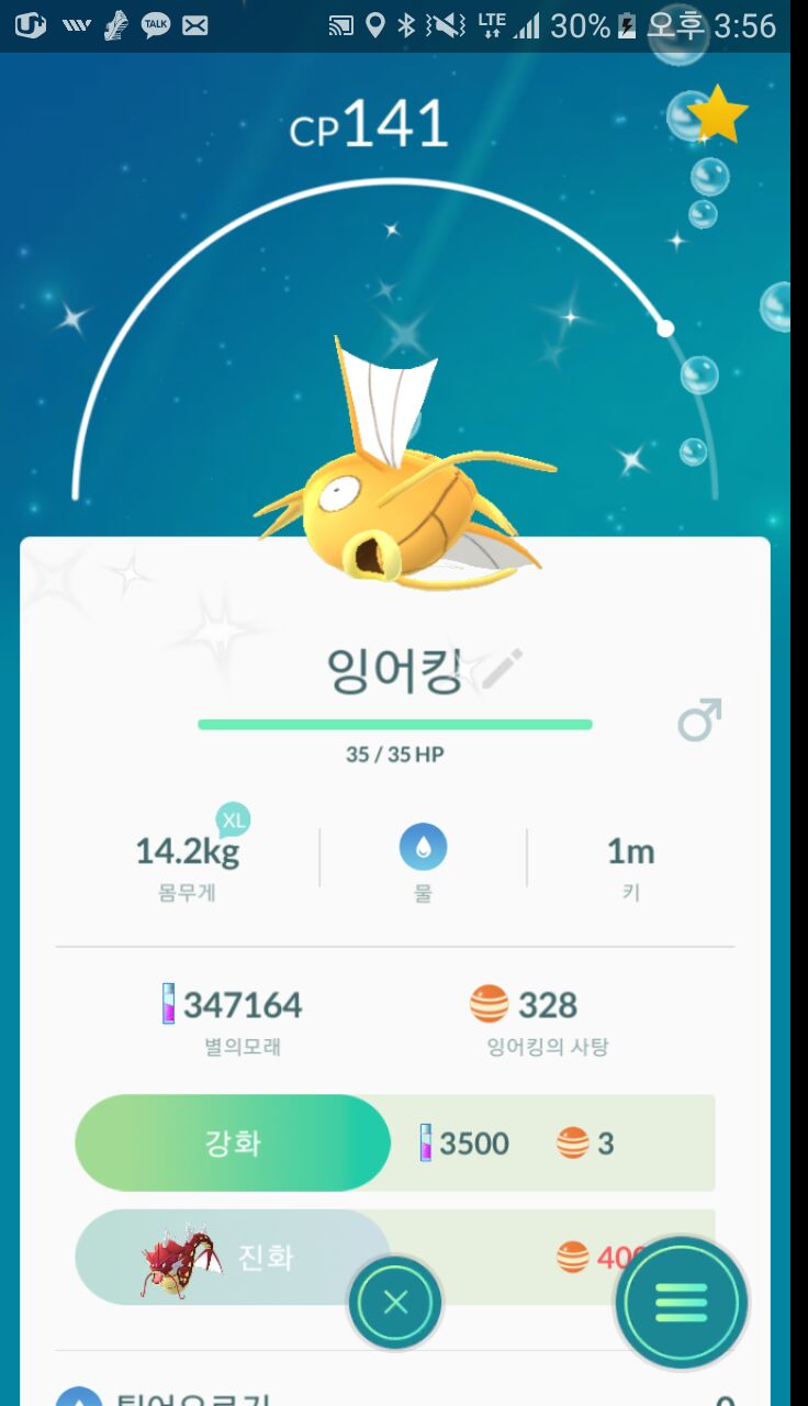 Ss황어킹