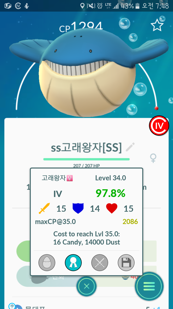 고래사냥을 나간다