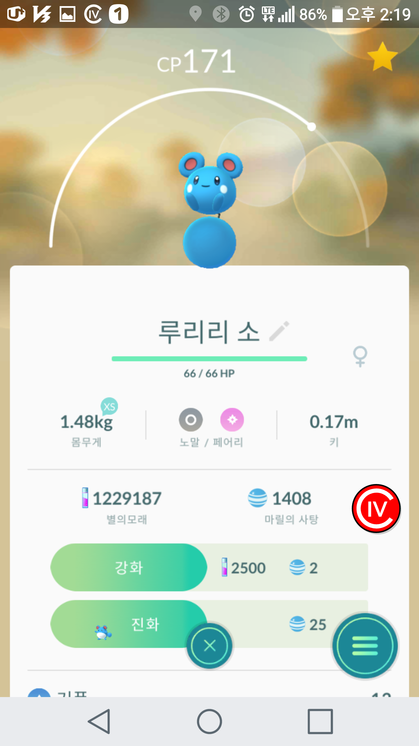 루리리