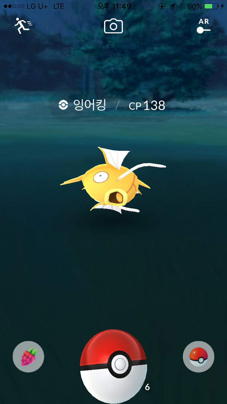 황금잉어킹!!!!!!!히히