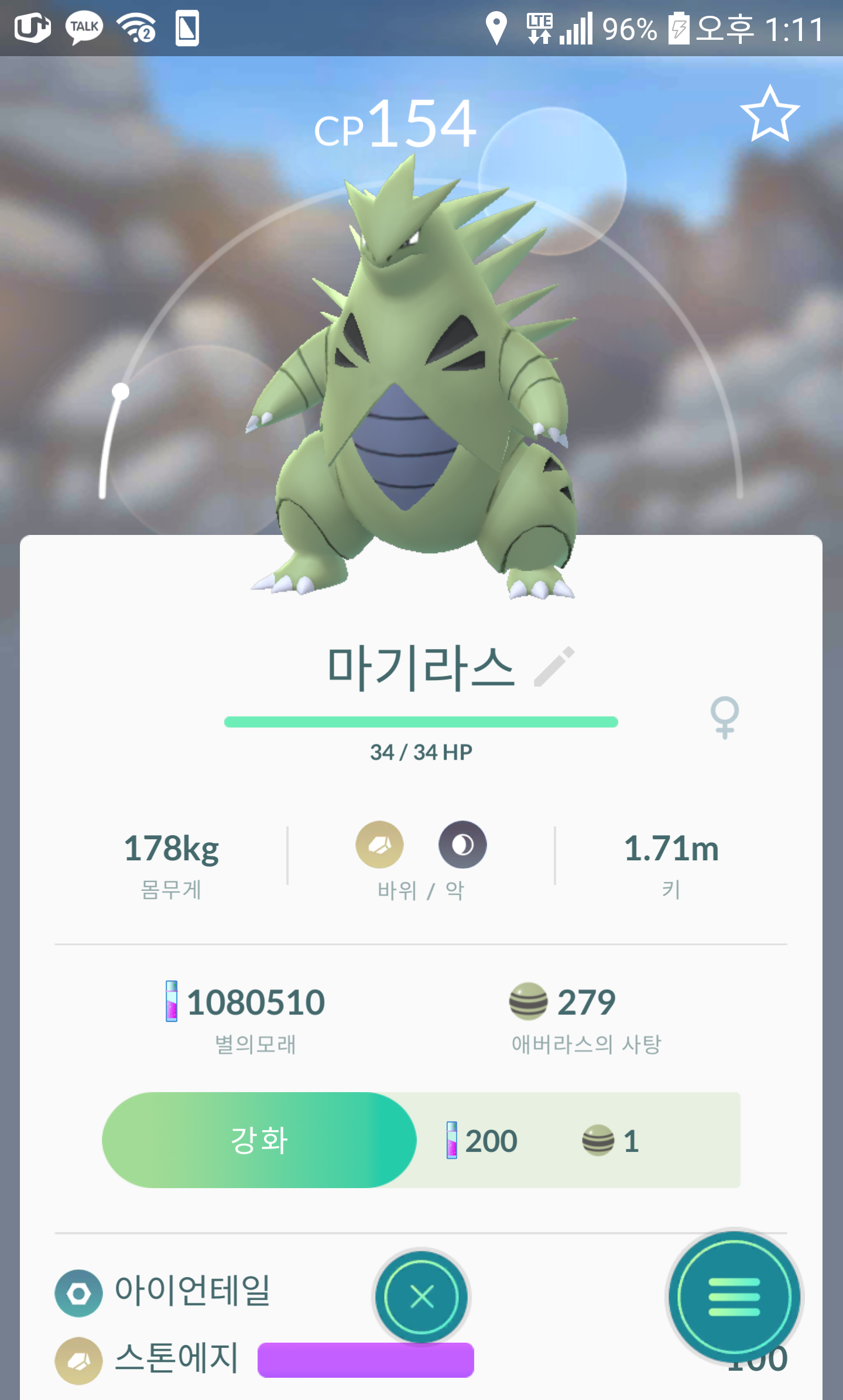 어제 잡은 야생 마기