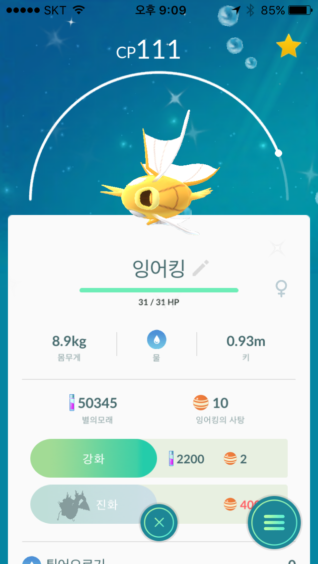 황어킹 겟