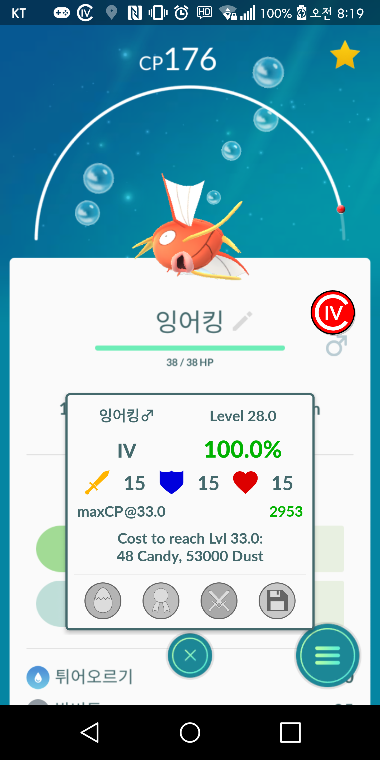 백어킹@!