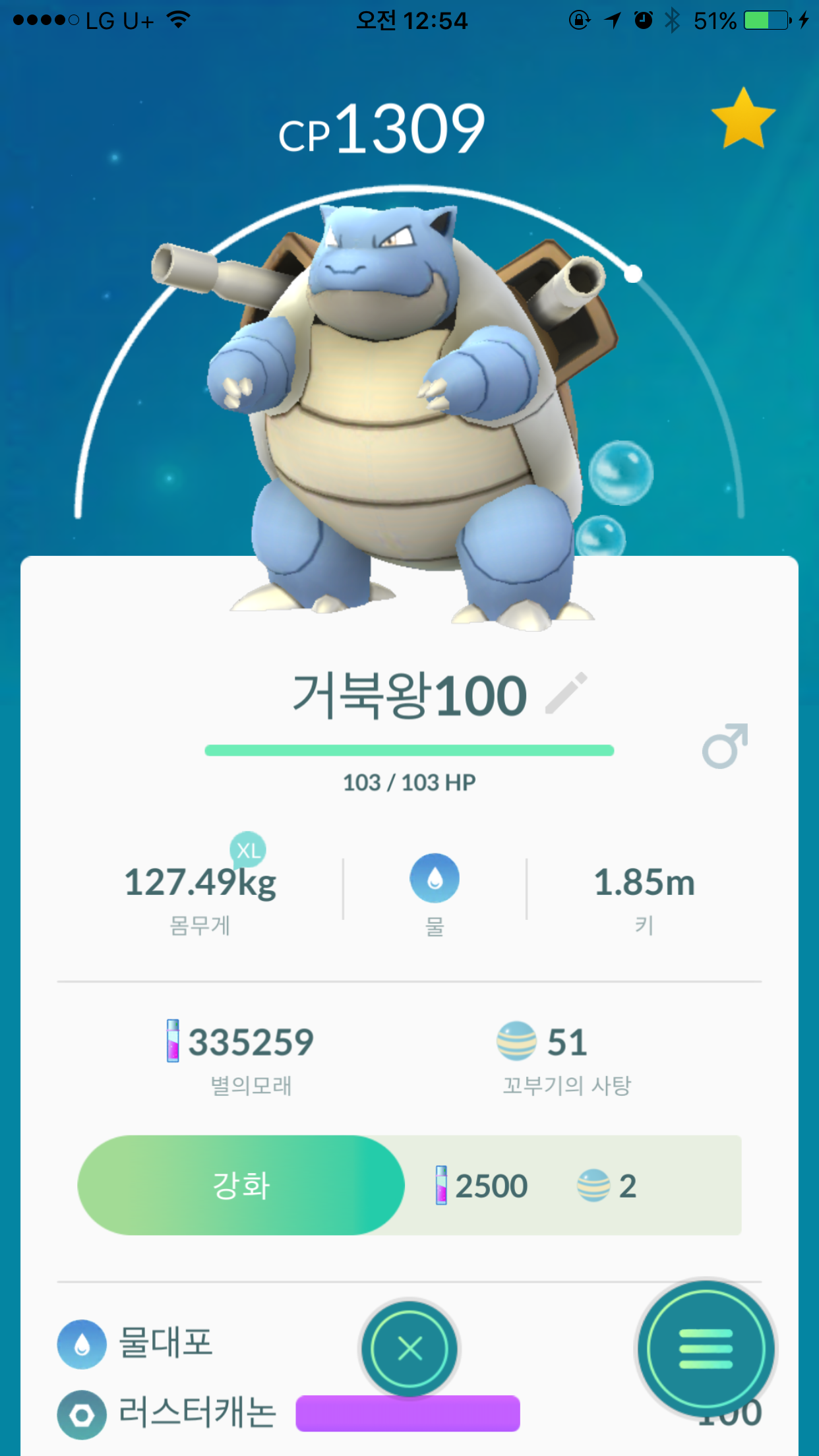 거북왕 100퍼