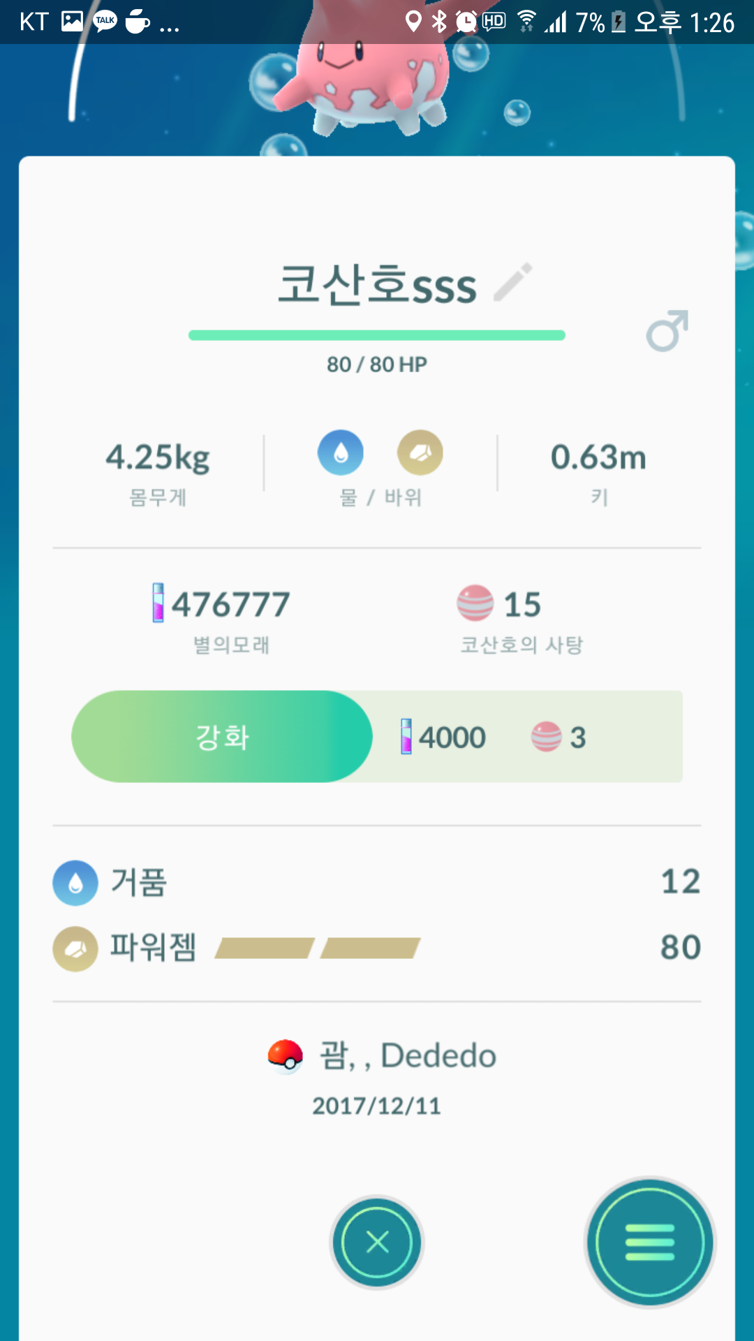 괌에서 잡은 코산호