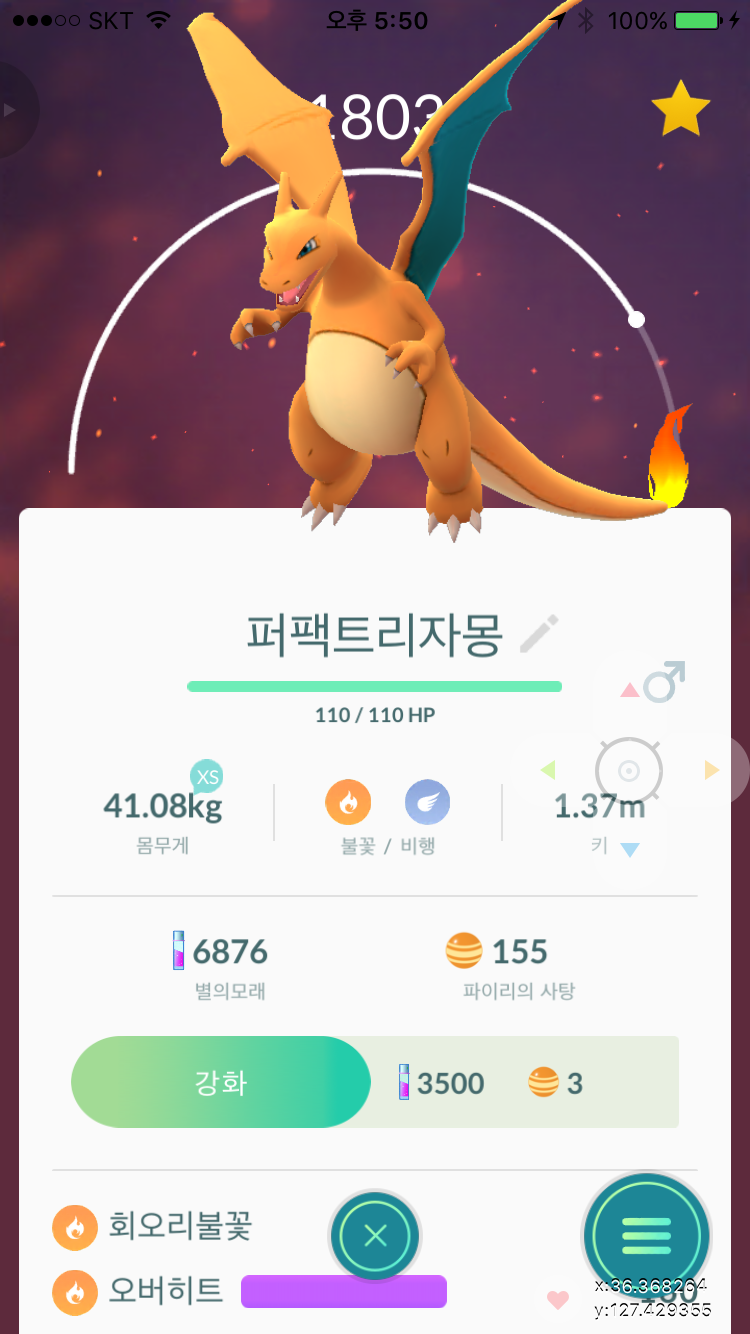[신규가입자]퍼펙트 리자몽