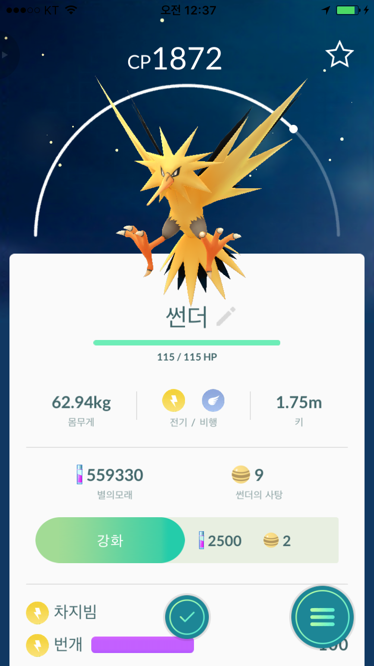 전기참새