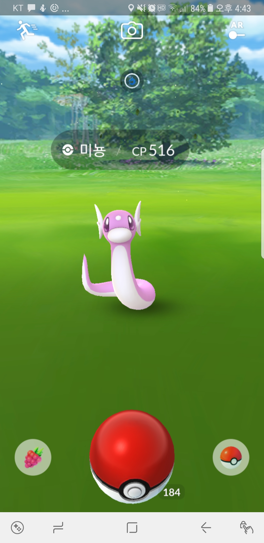 방금 잡은 이로치 미뇽