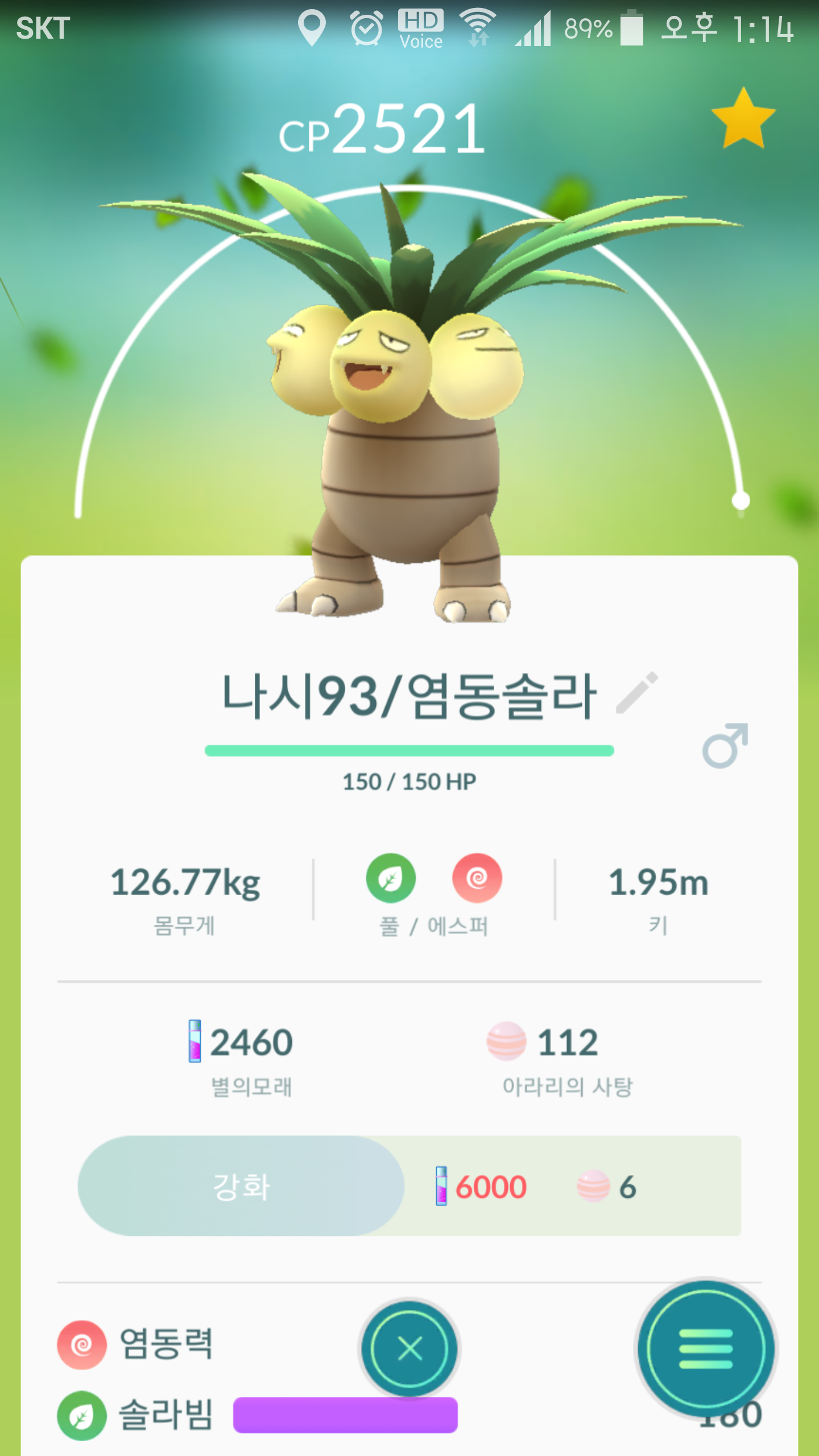 이제 없을 나시