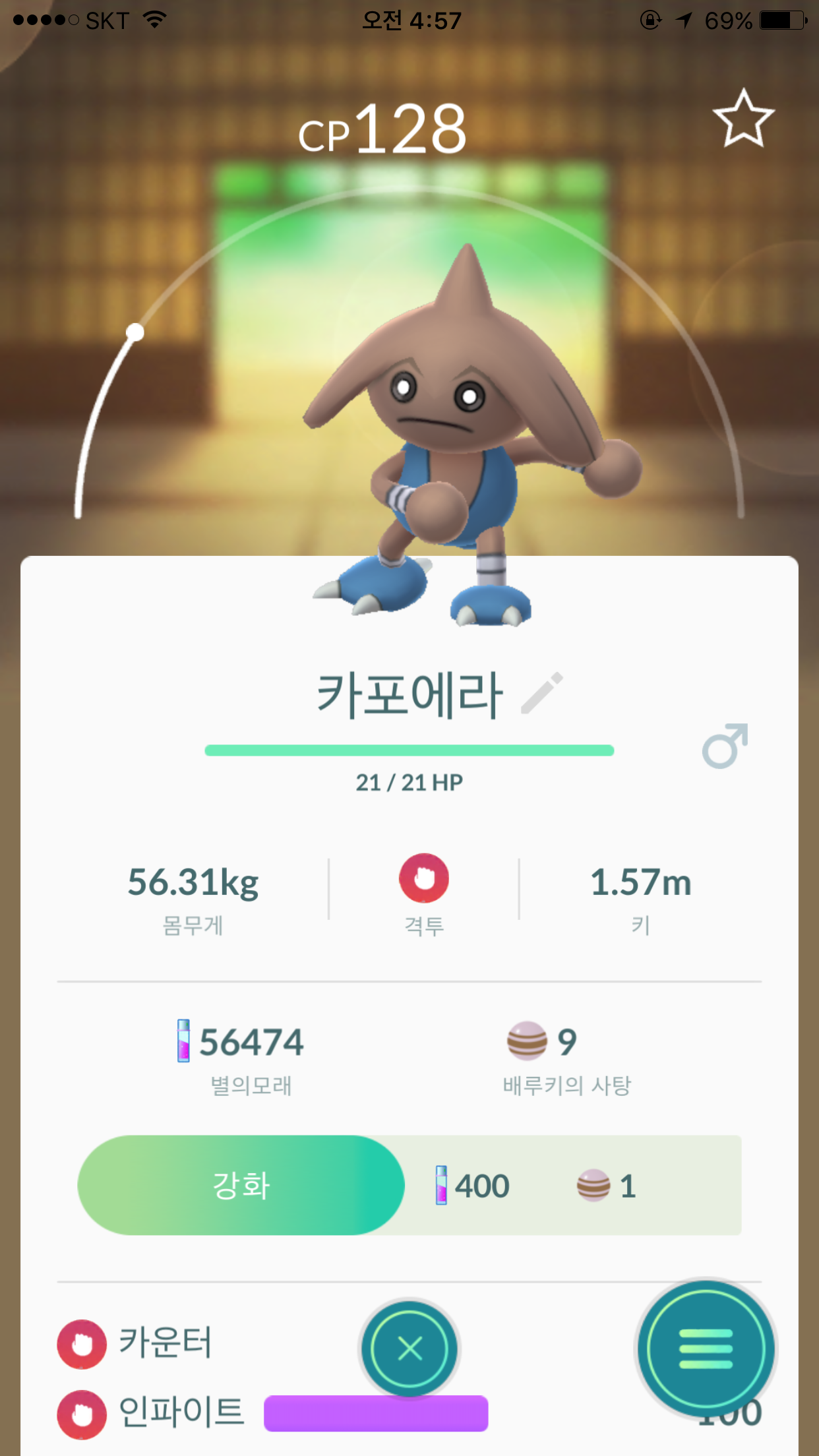 또하나 희귀인거같은거