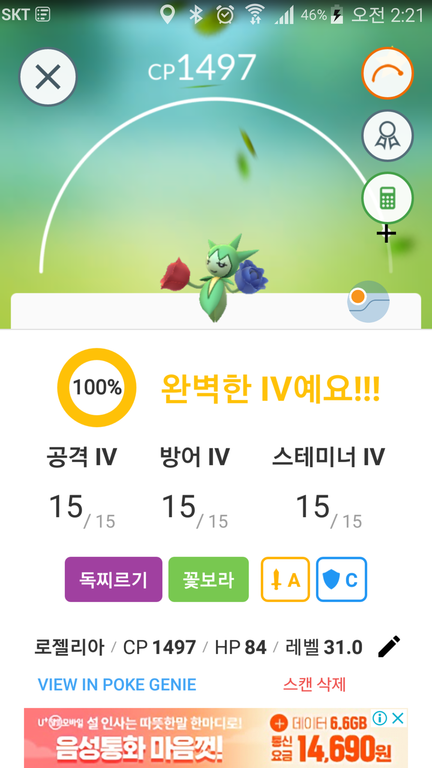 두번째 로젤리아 100