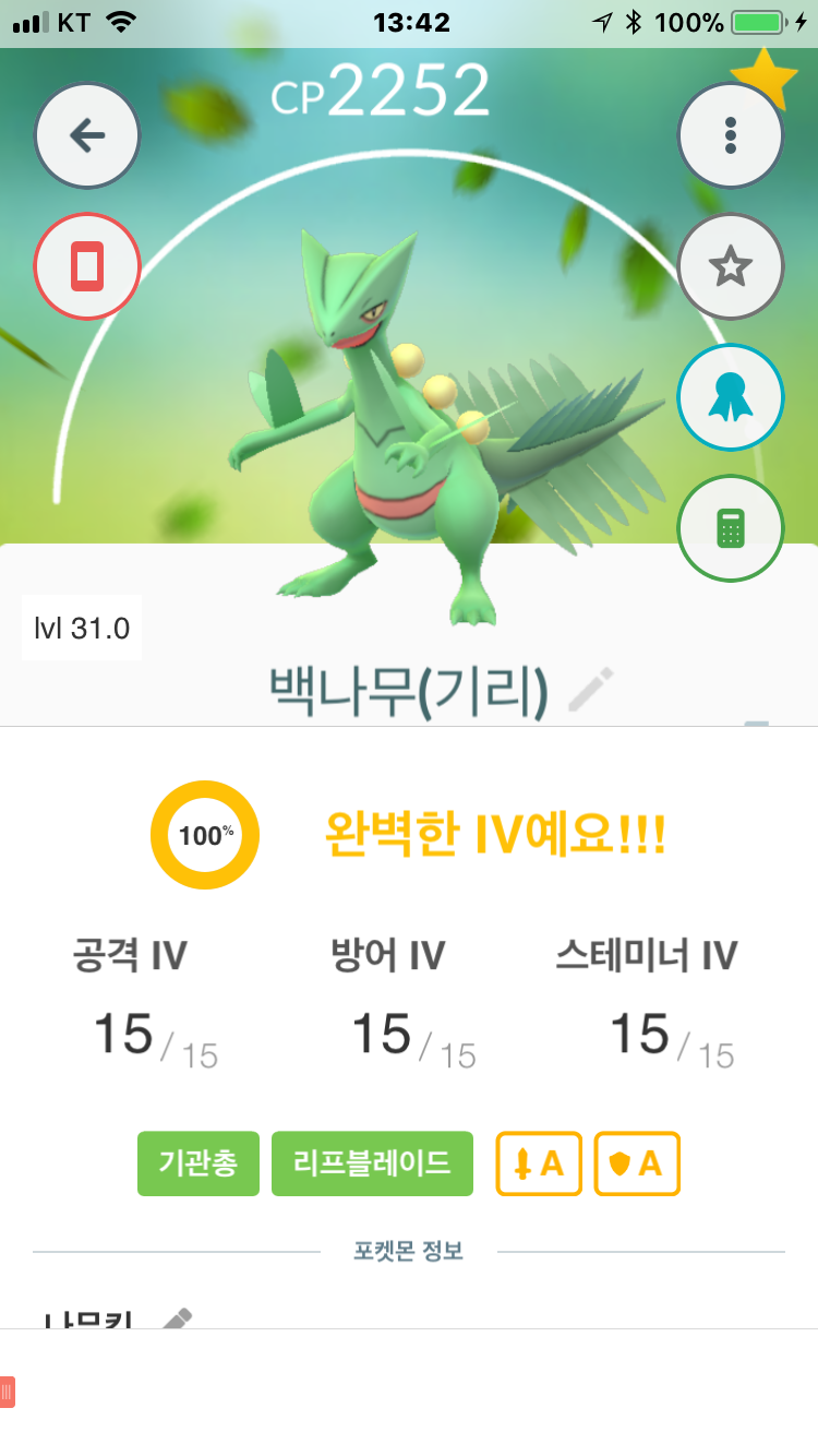 백나무킹...