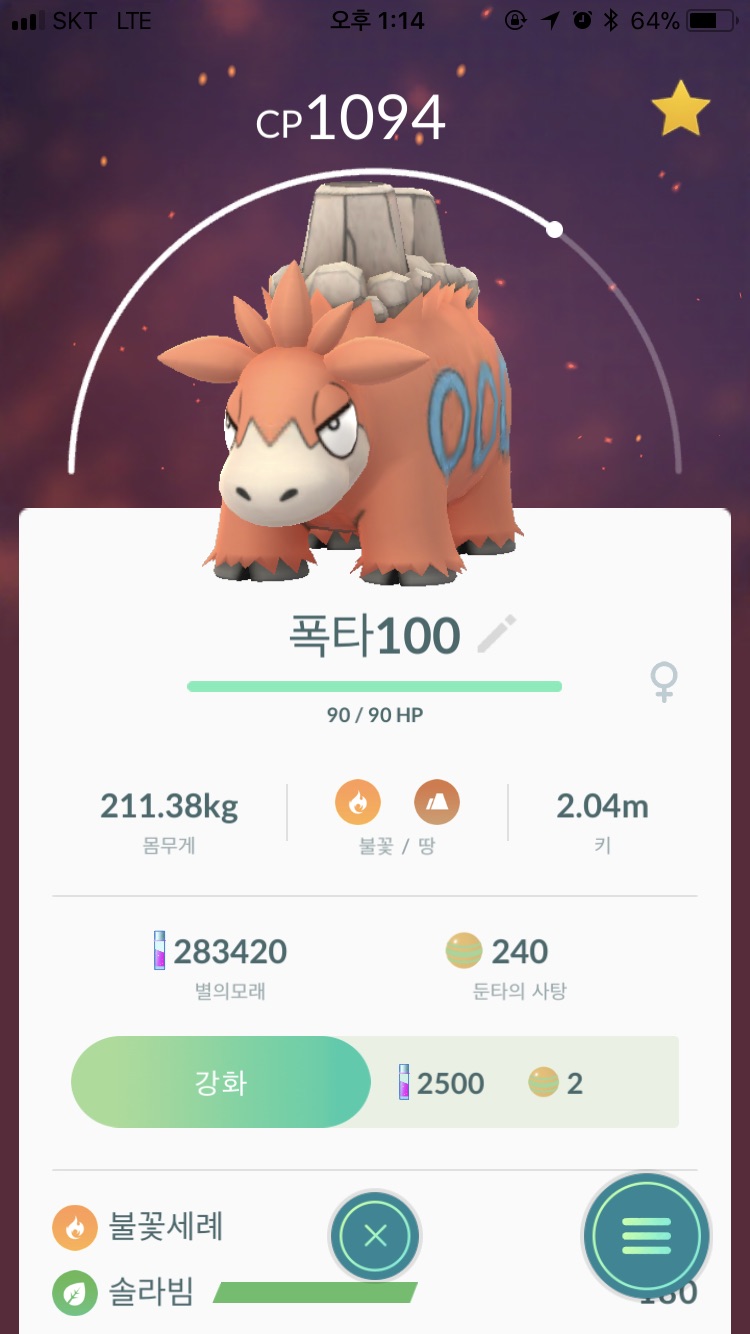 폭타 100