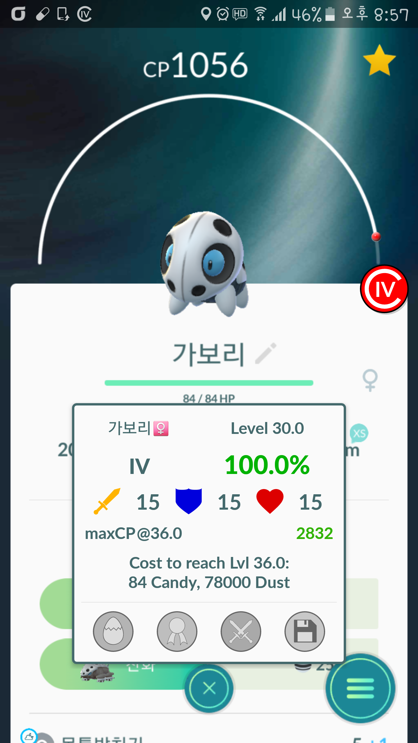 백보리를 잡았습니다~!!