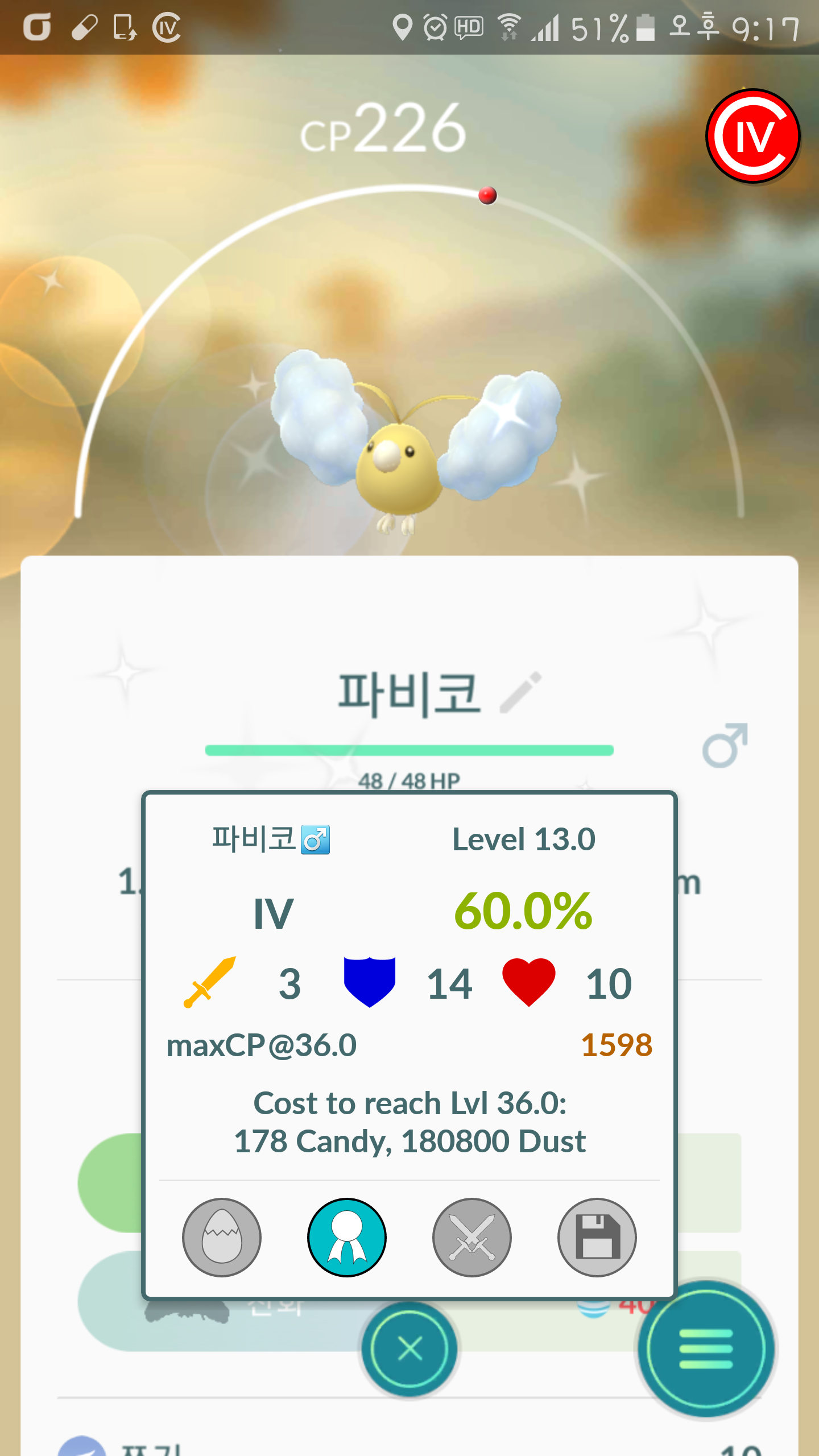 반짝 반짝 빛나는 황금빛 파비코예요~^^