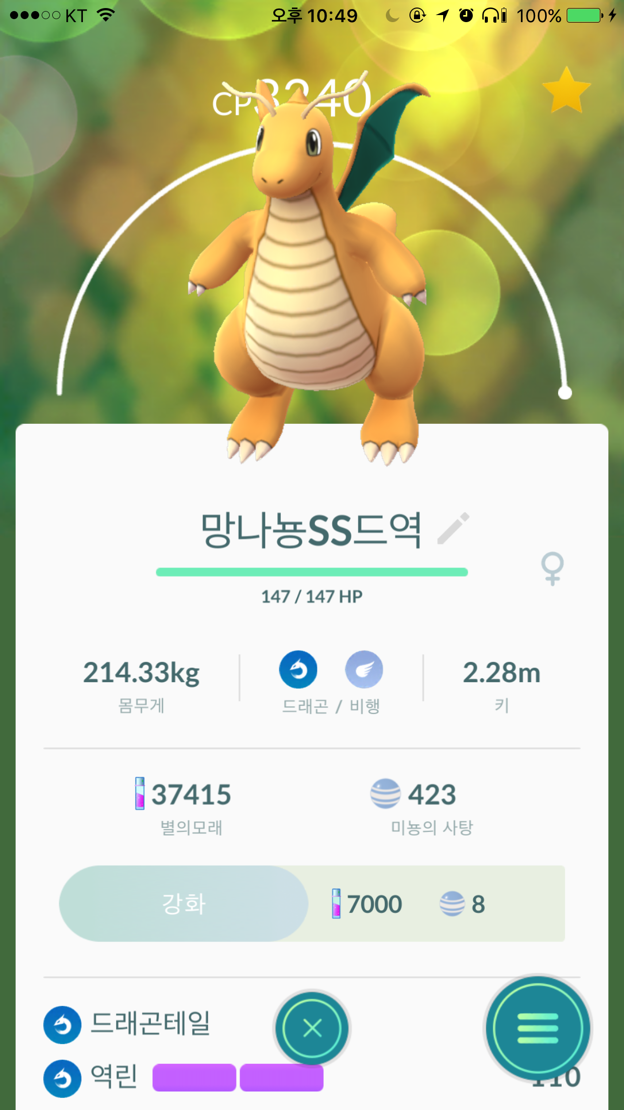 방으로 찾아온 최고의 망냐뇽