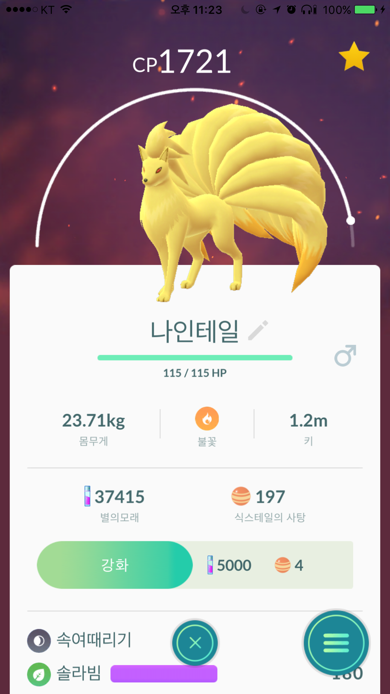 간지나는 나인테일
