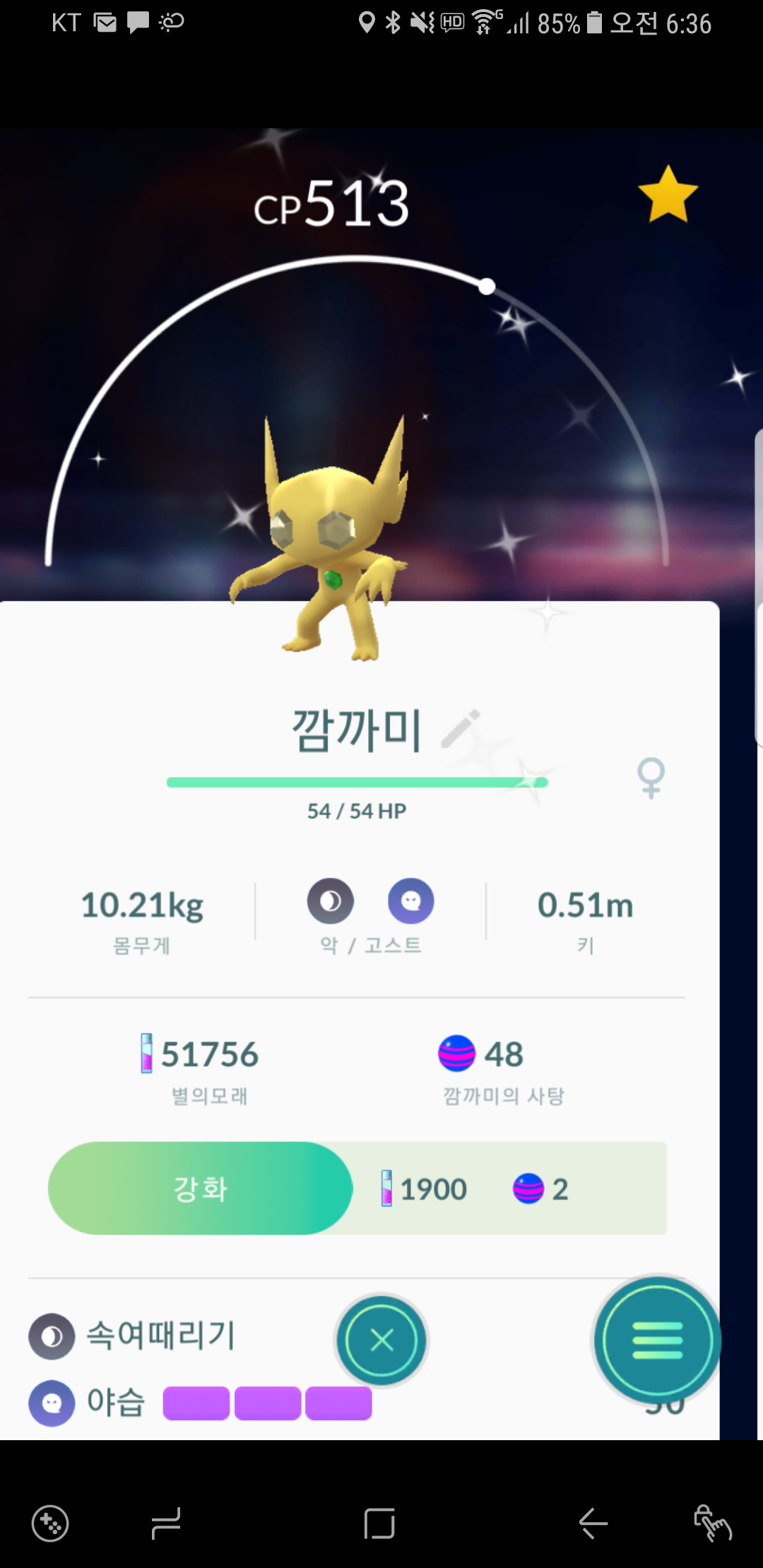 황금색 깜까미~