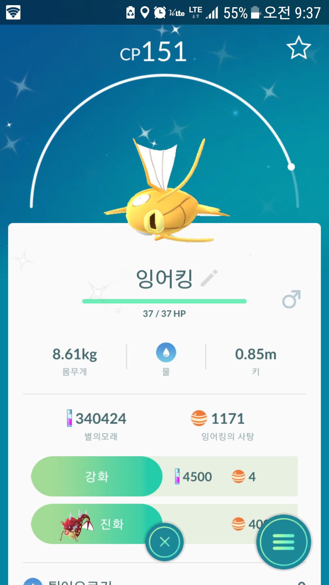득템있는날  황어
