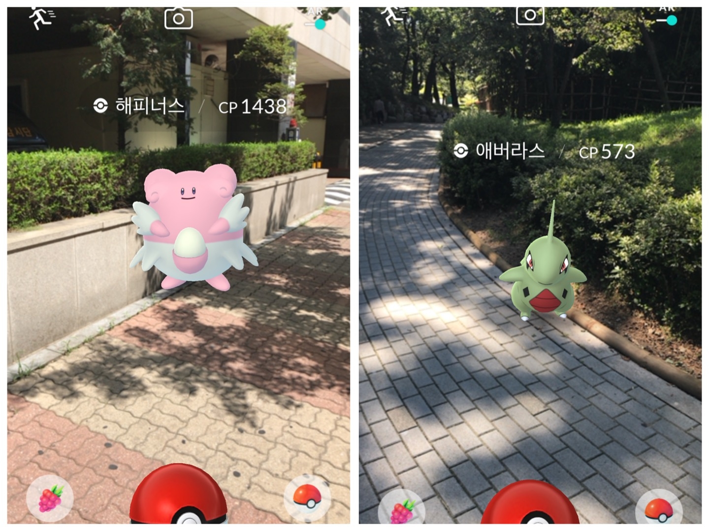 길에서 주운 야생 해피+애버