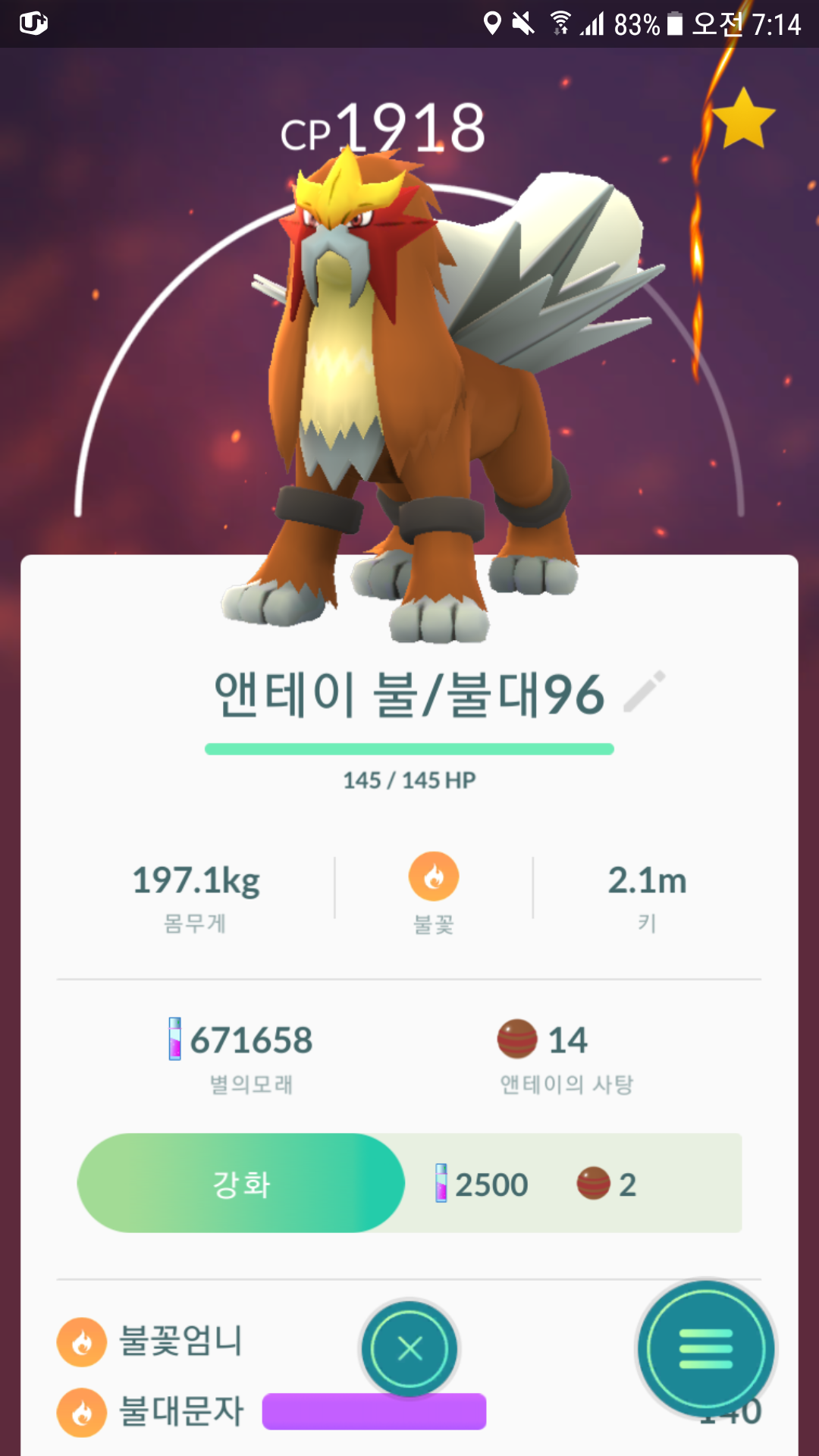 앤테이96퍼