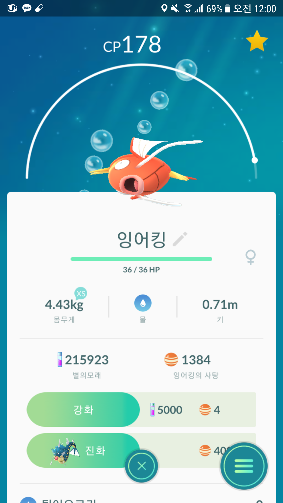 잉어킹