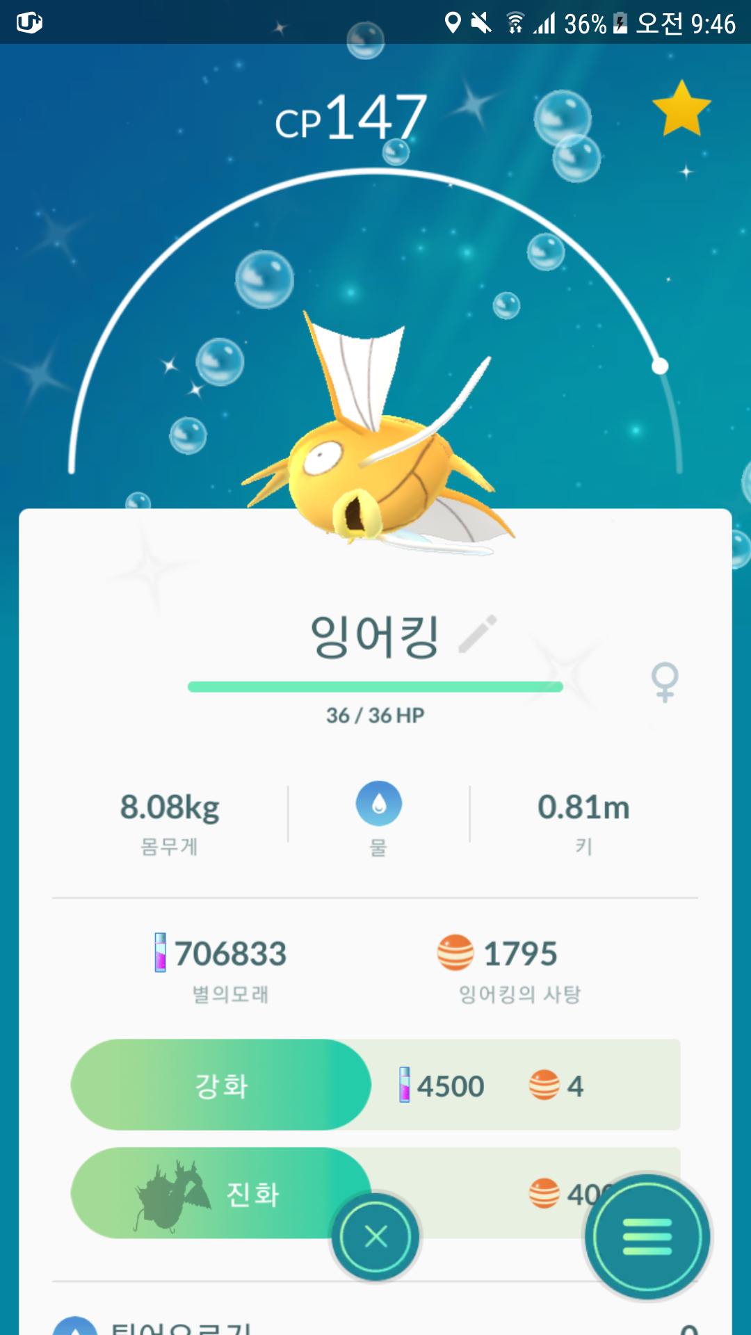 잉어킹