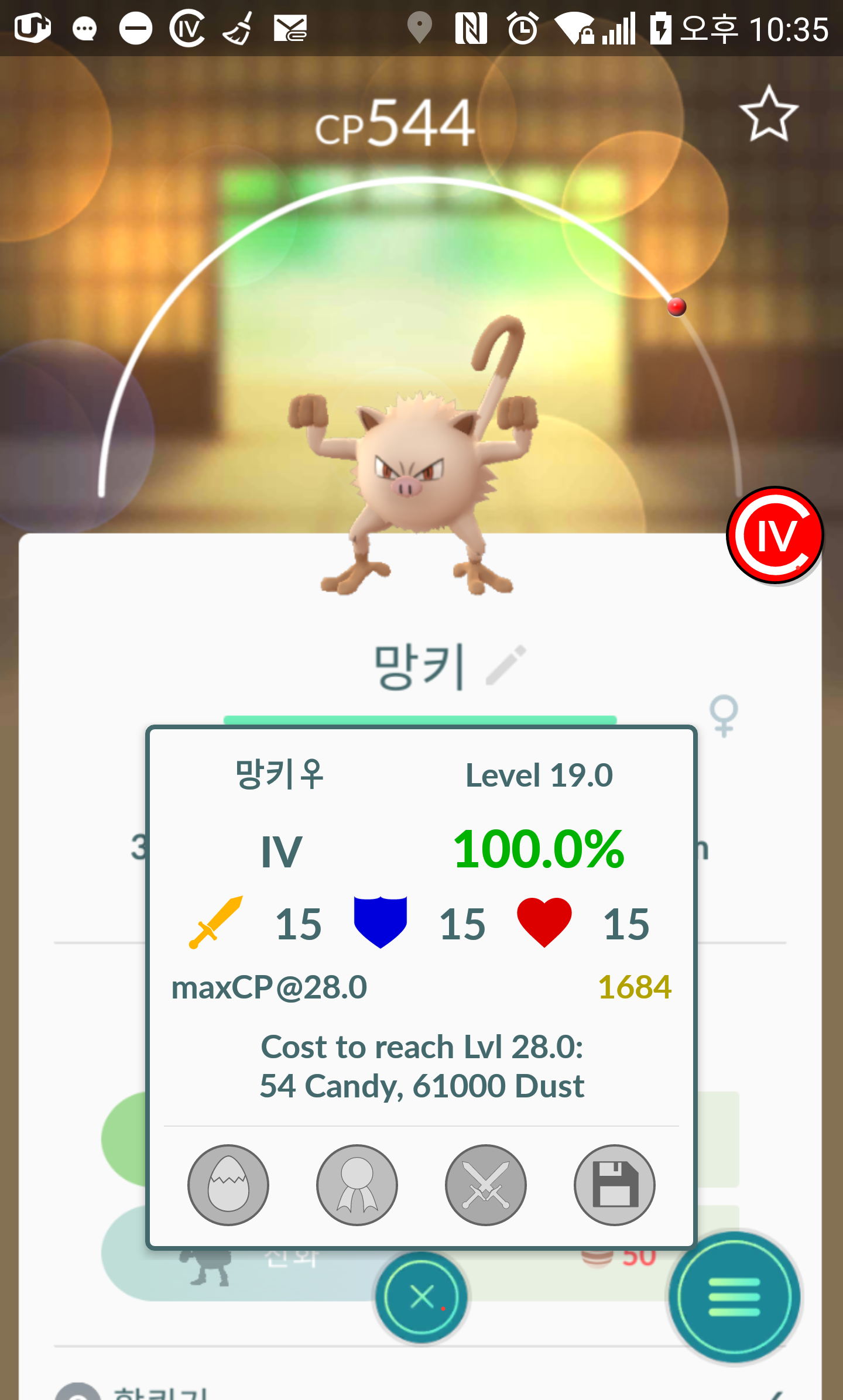버섯꼬